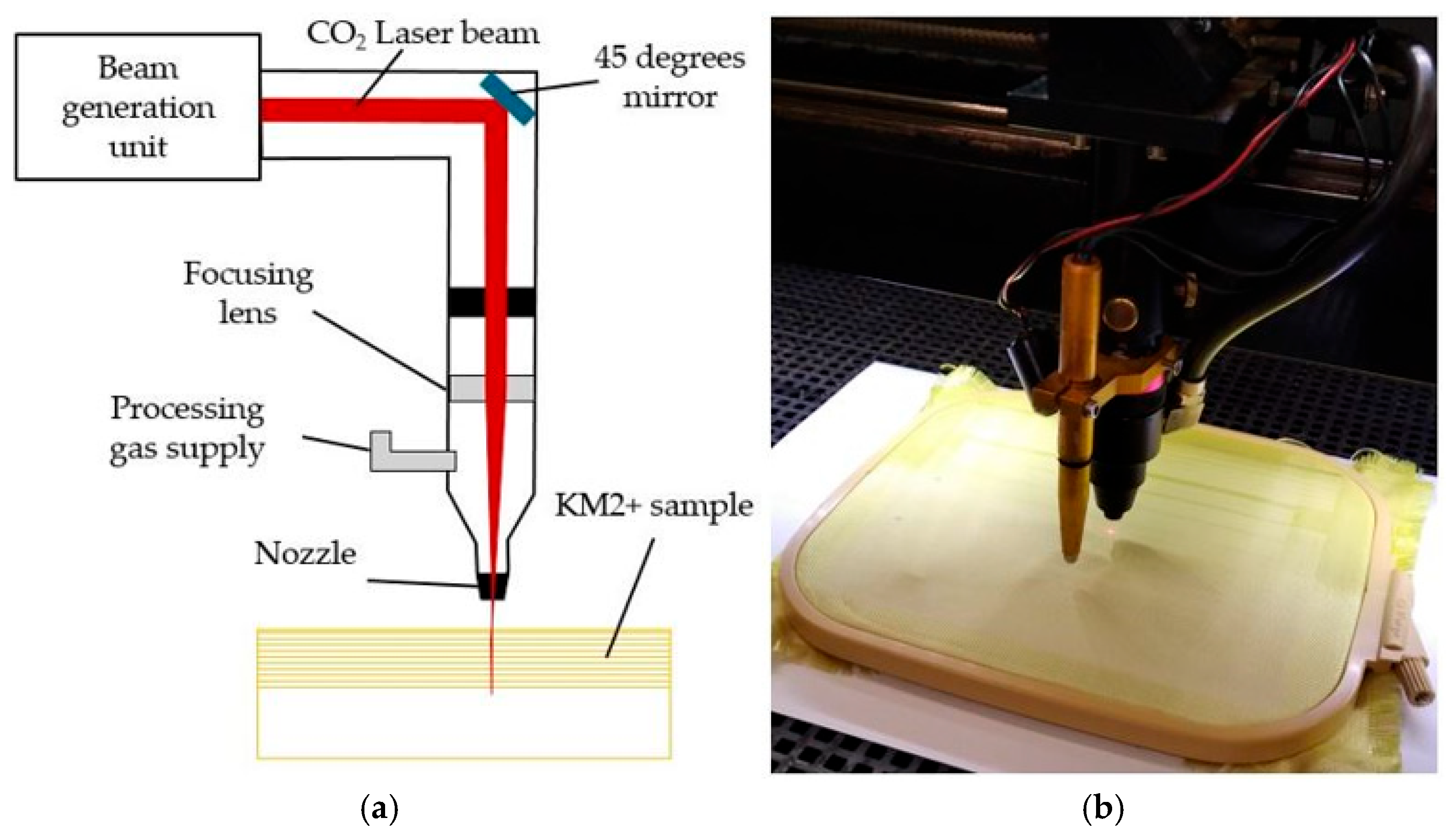 Polymers 17 02931 g005
