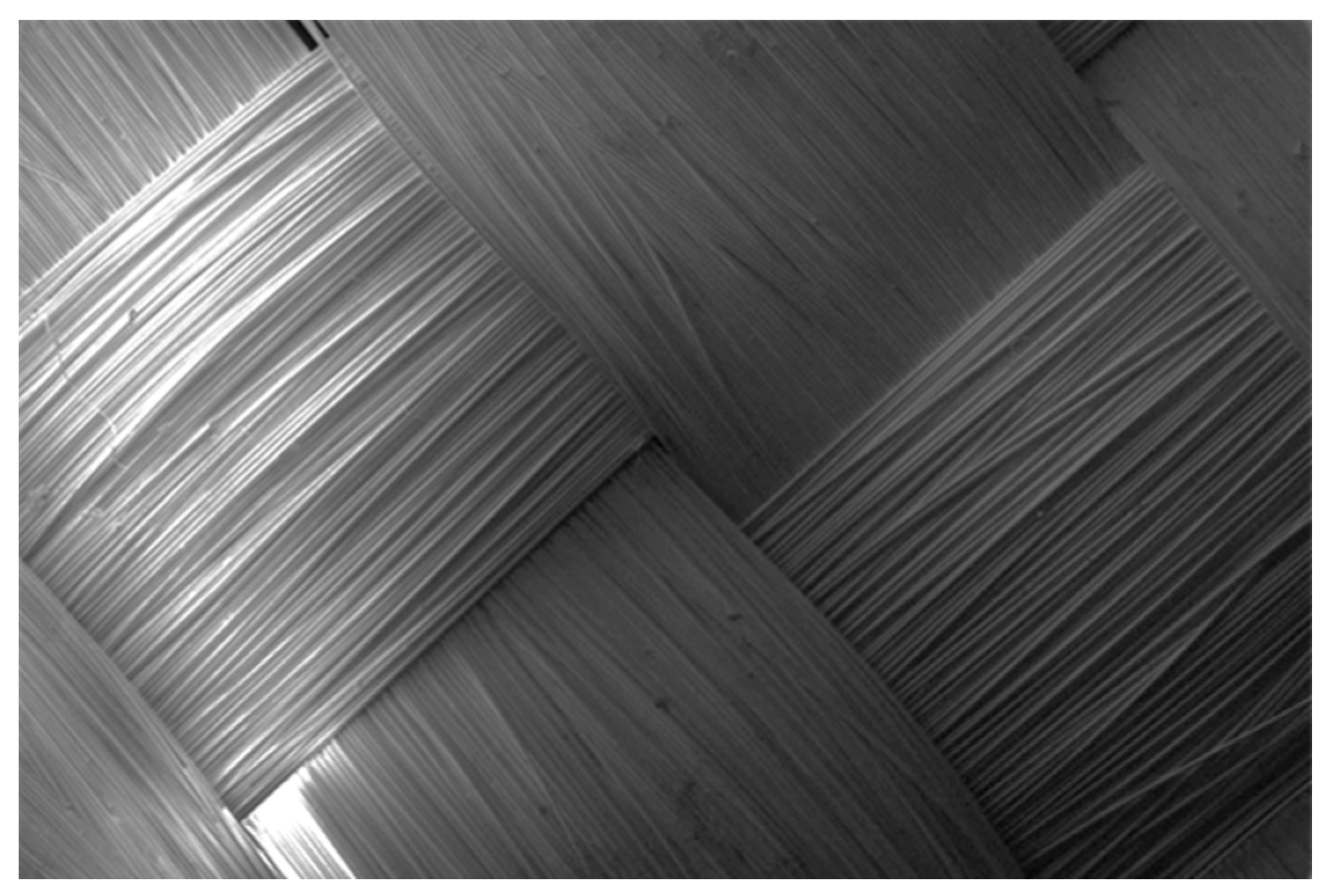 Polymers 17 02931 g007