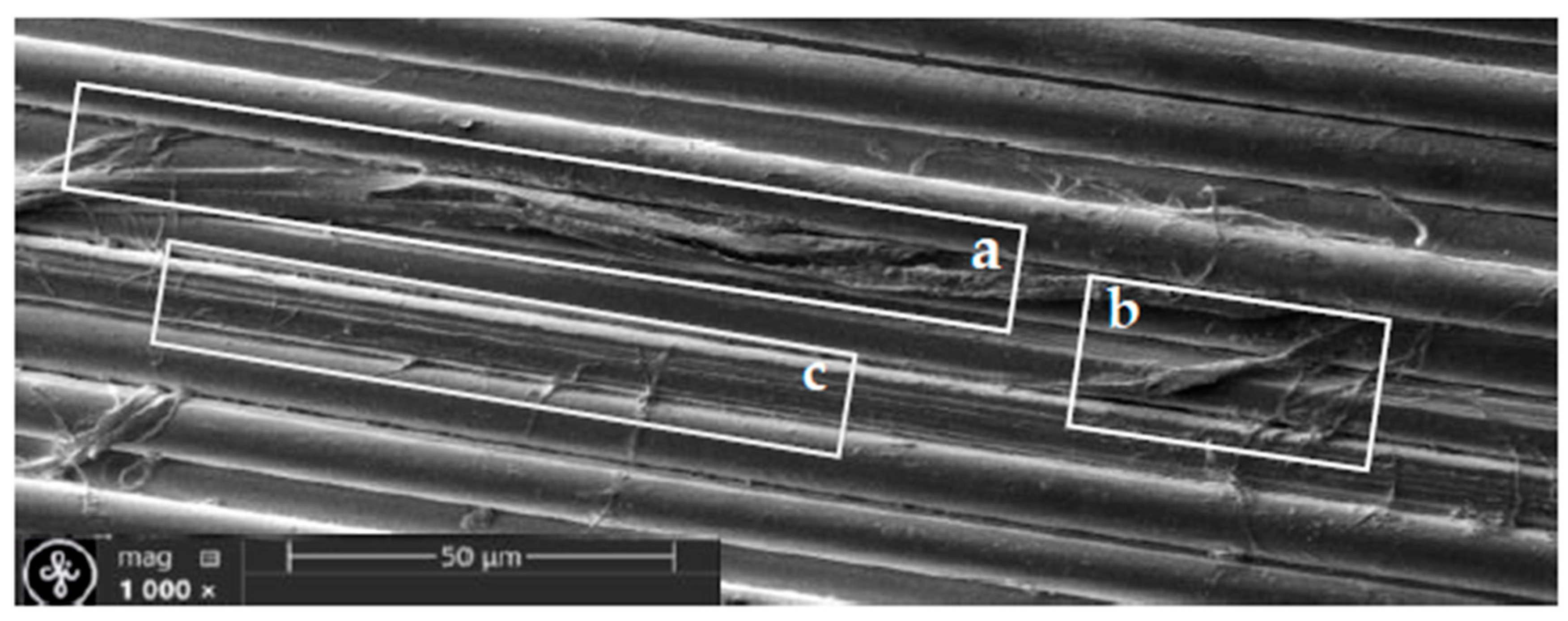 Polymers 17 02931 g008