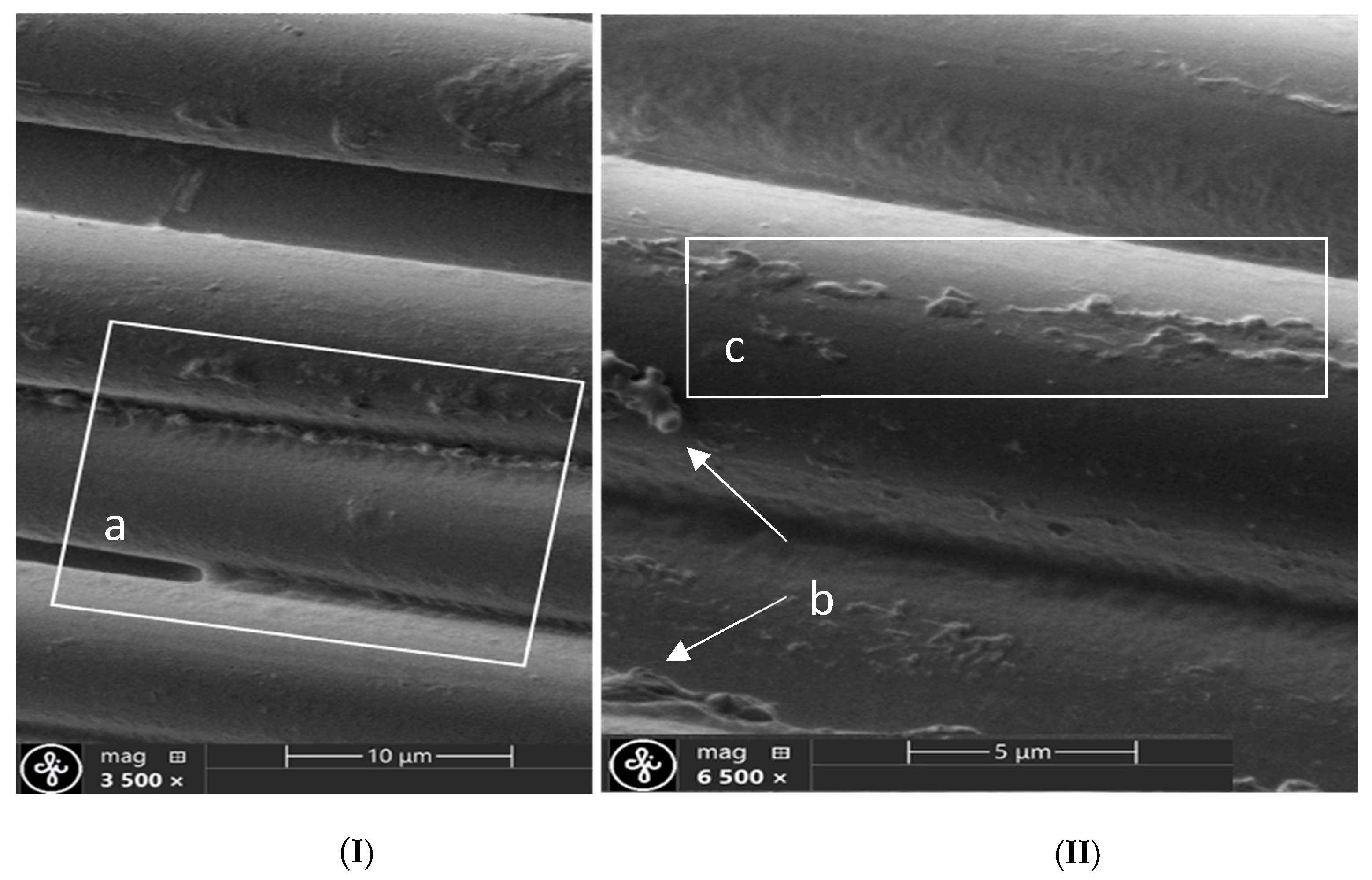 Polymers 17 02931 g009