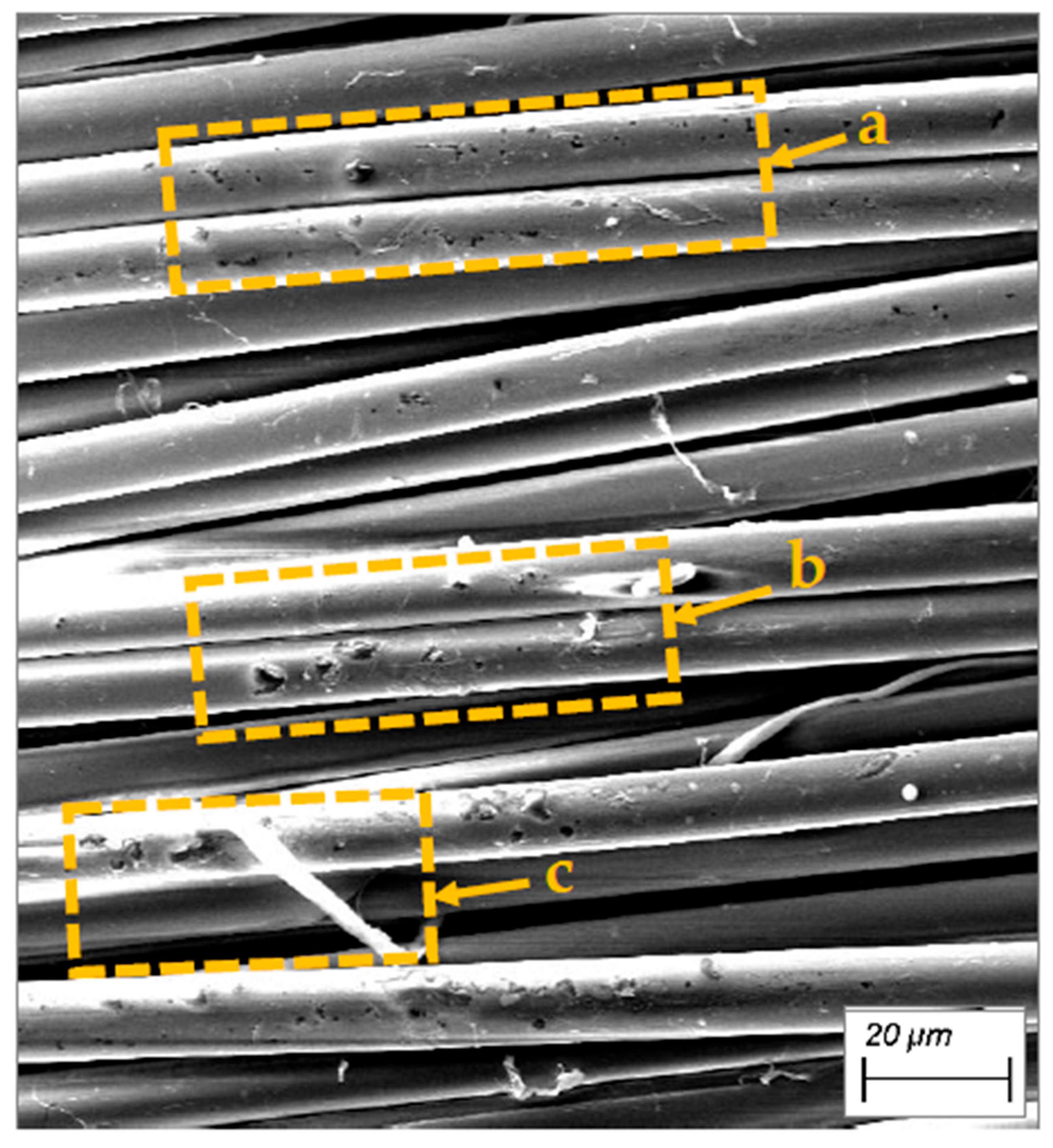 Polymers 17 02931 g010