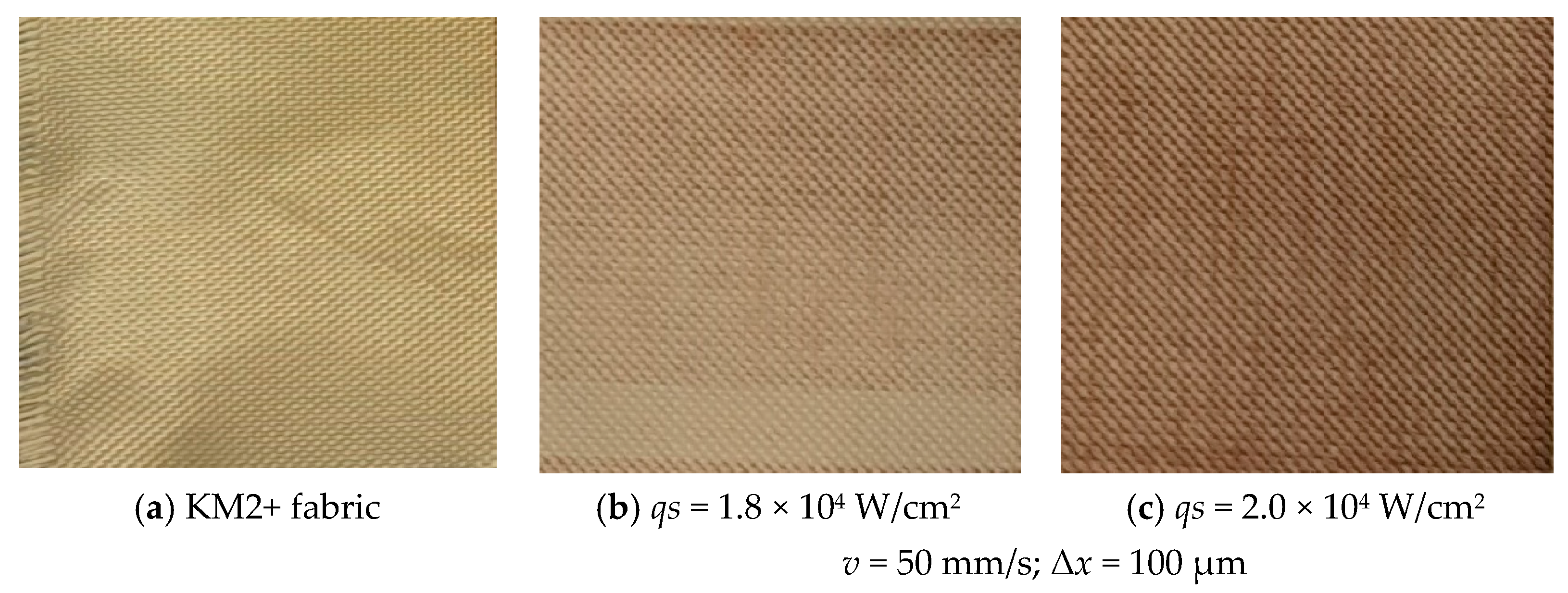 Polymers 17 02931 g011