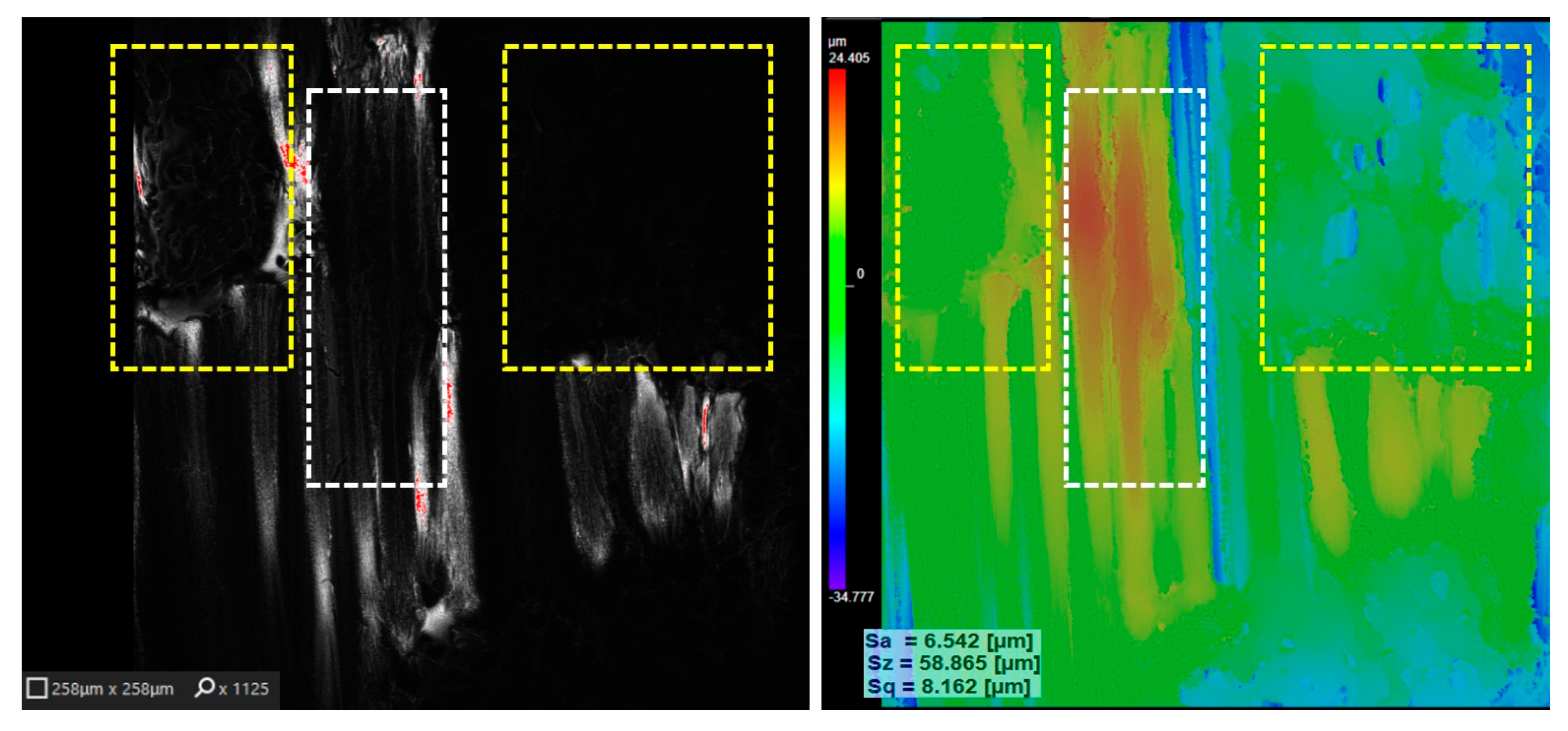 Polymers 17 02931 g012