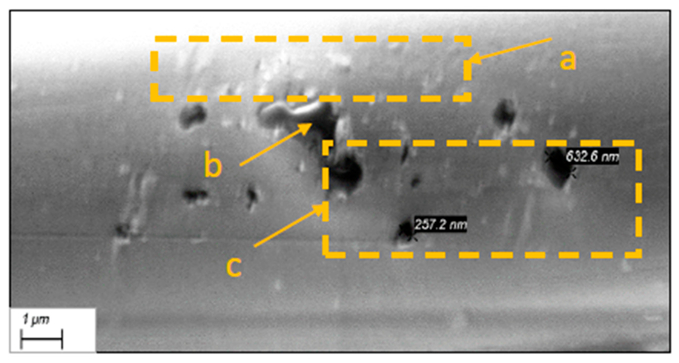 Polymers 17 02931 g018