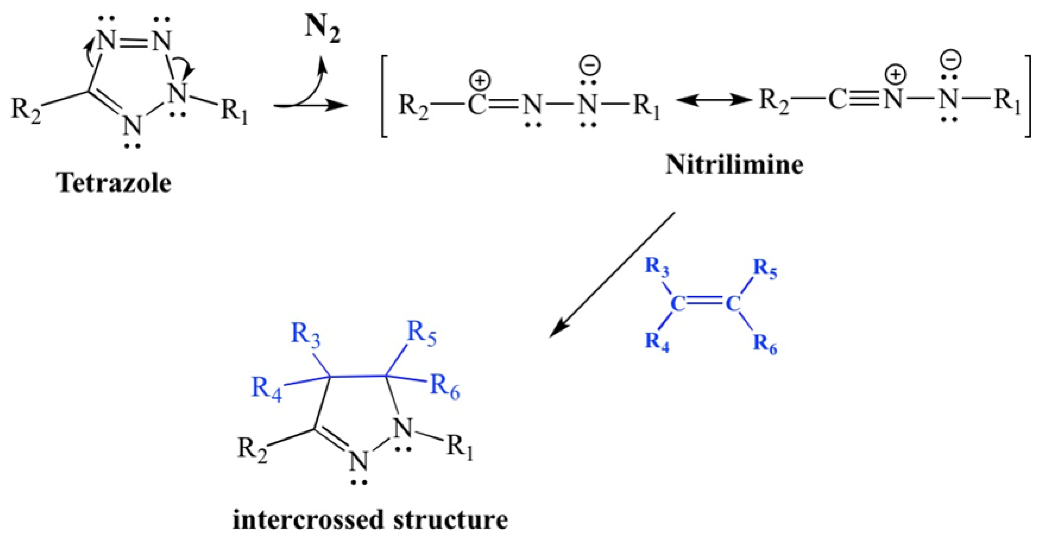 Polymers 17 02933 g004