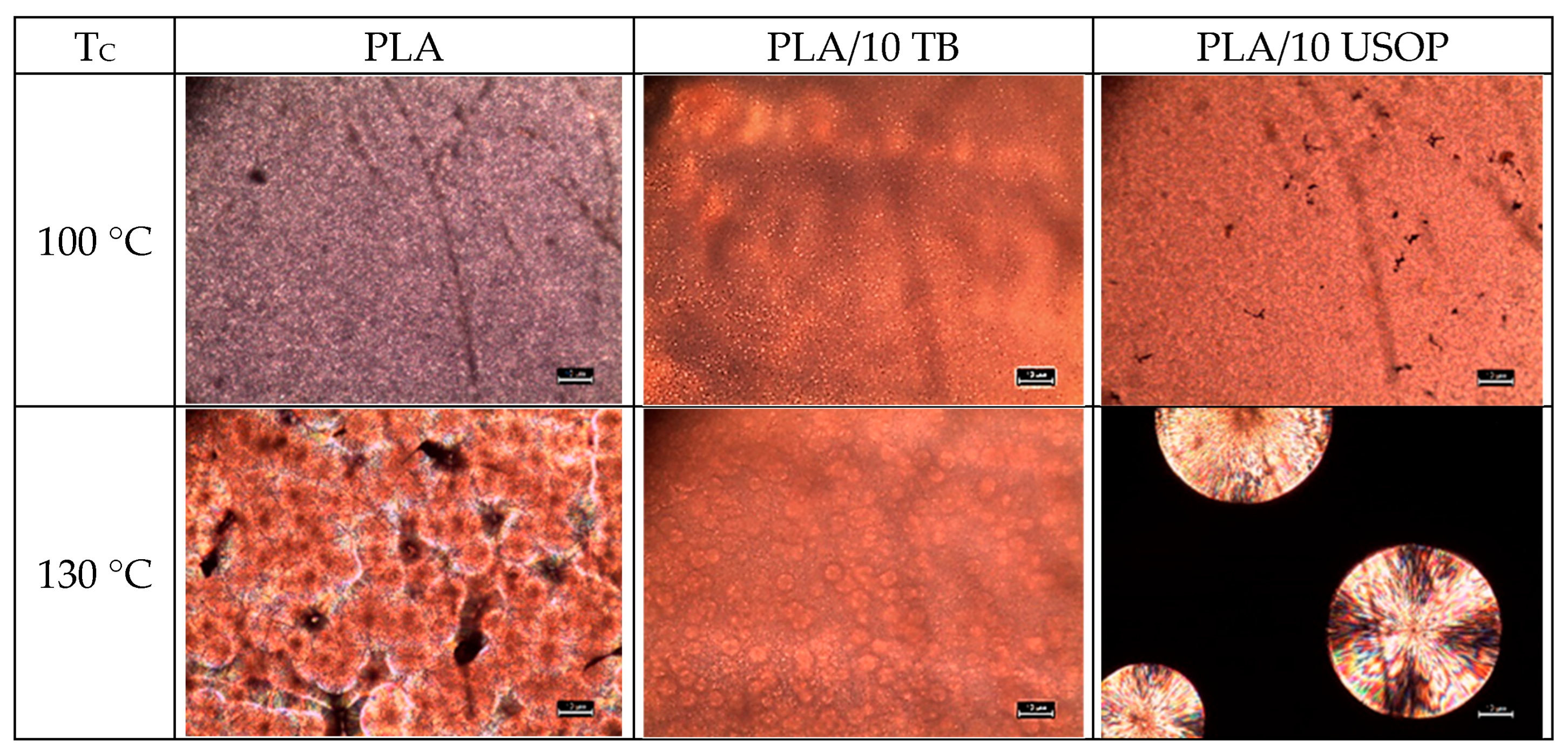 Polymers 17 02935 g003
