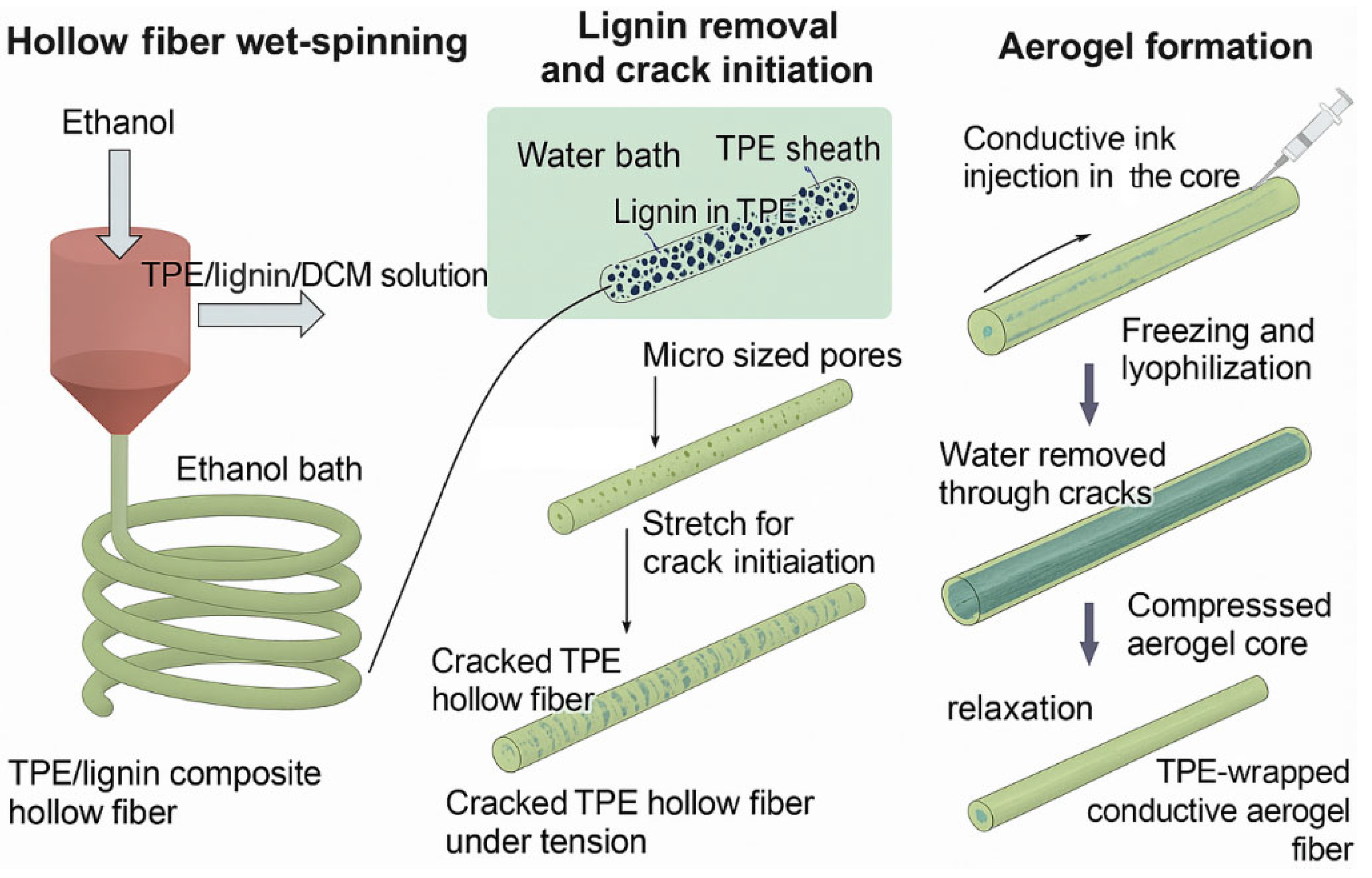 Polymers 17 02936 g001