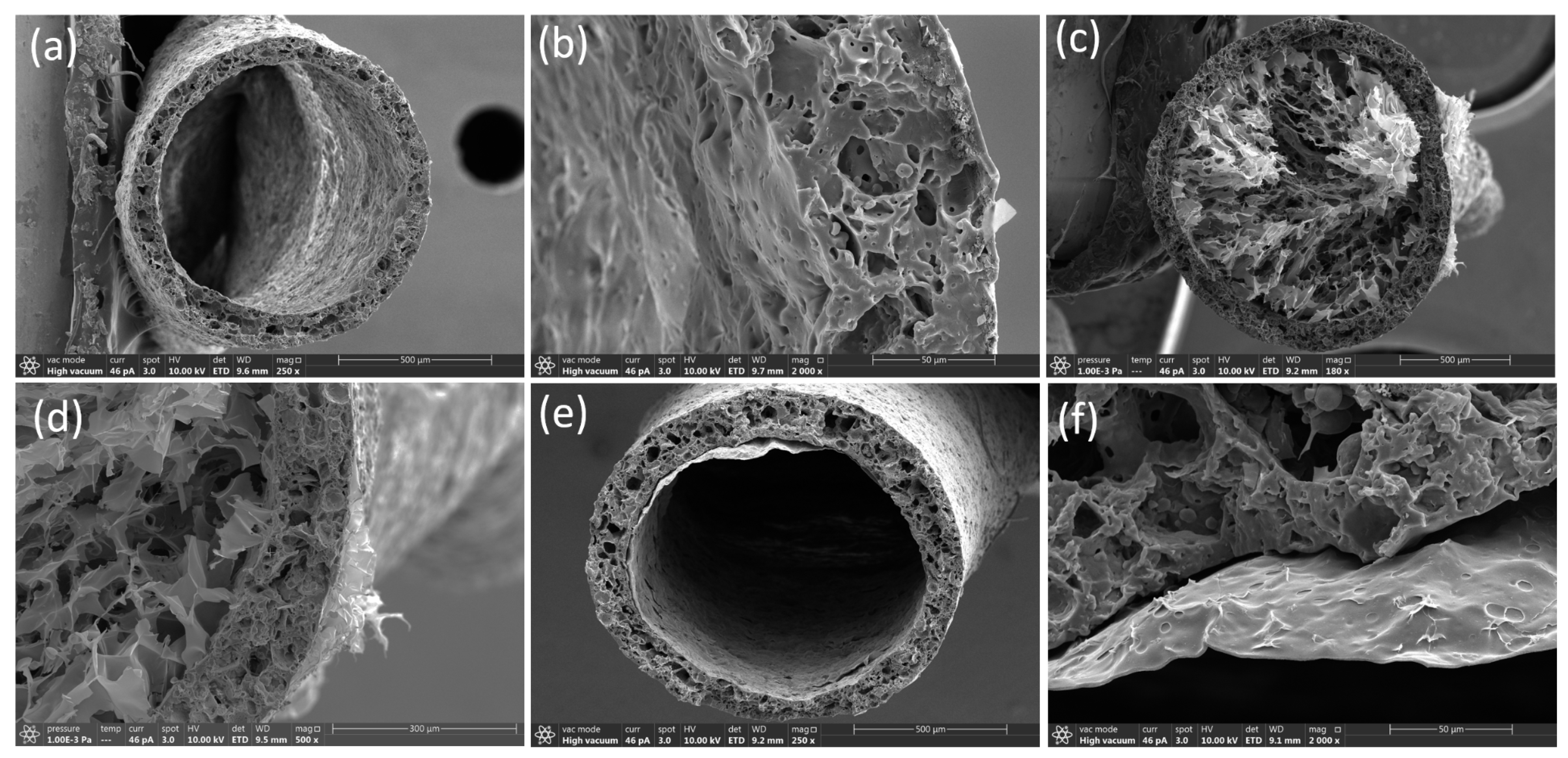 Polymers 17 02936 g002