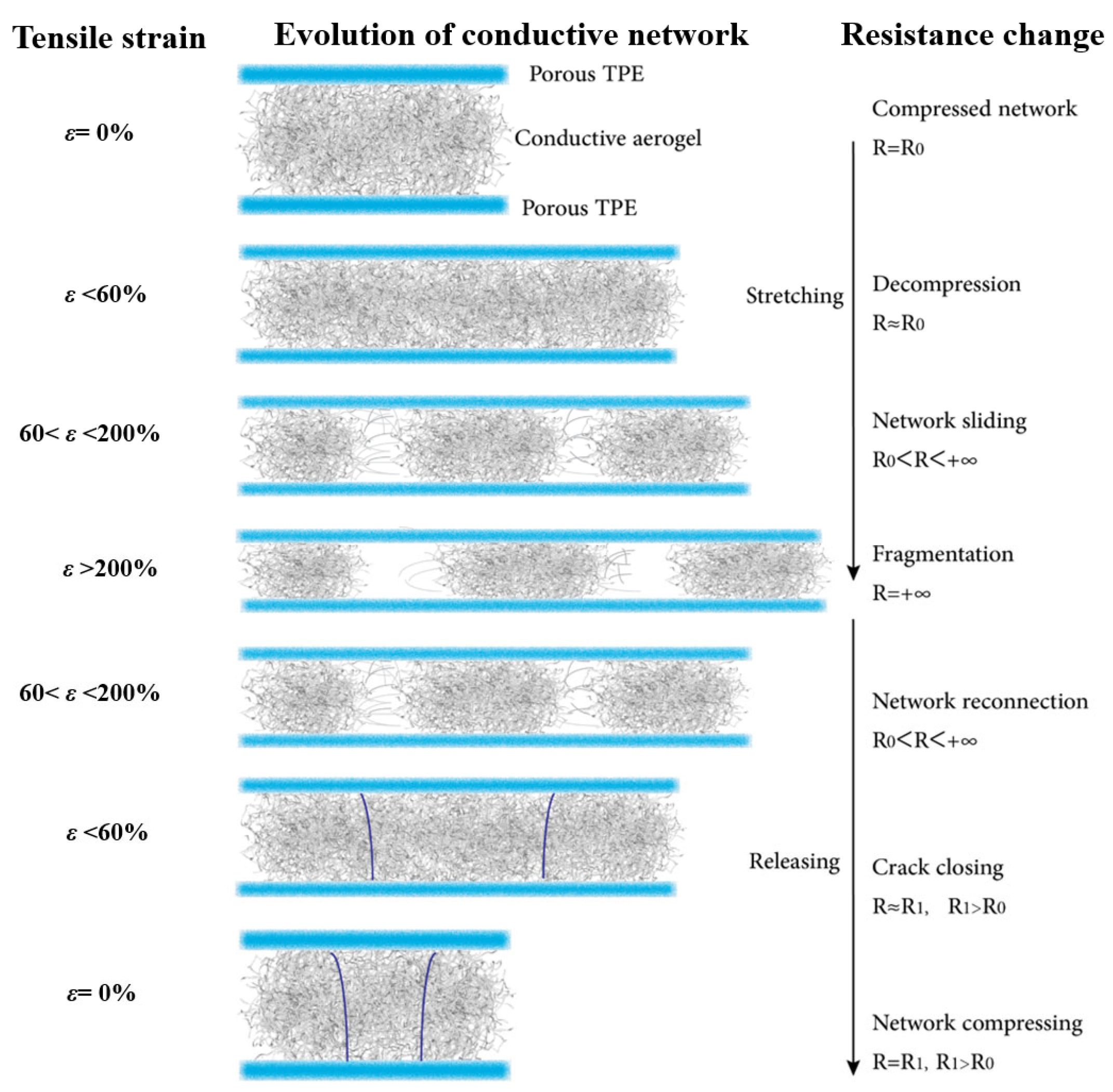 Polymers 17 02936 g005