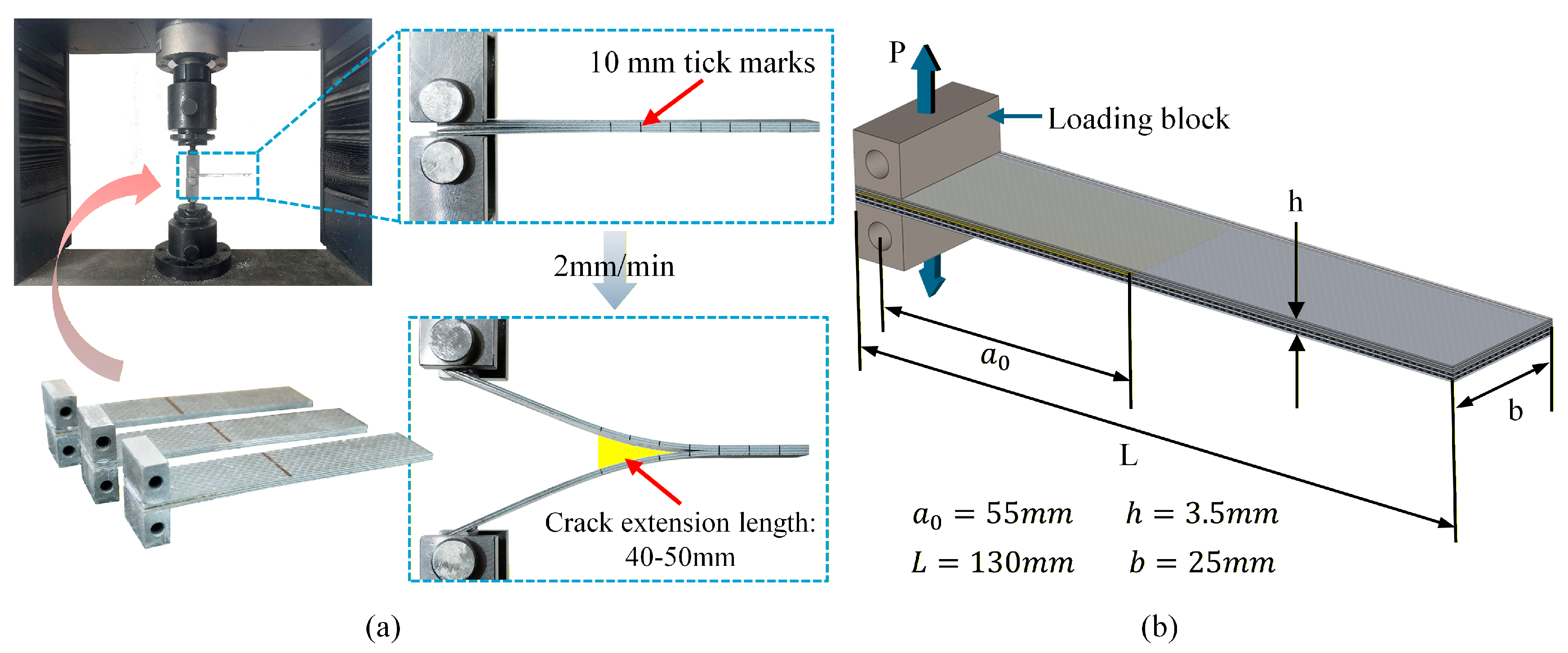 Polymers 17 02937 g004