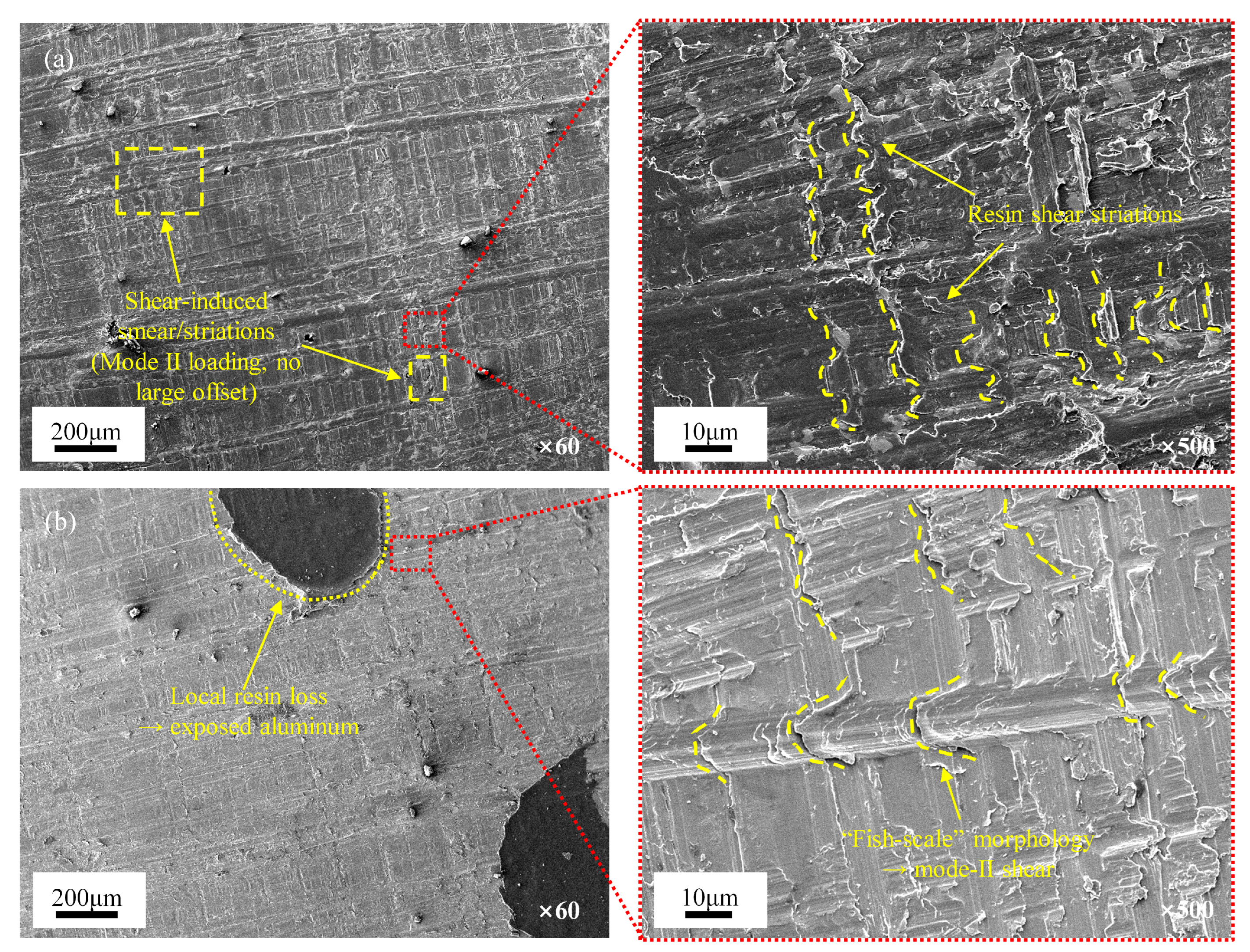 Polymers 17 02937 g010