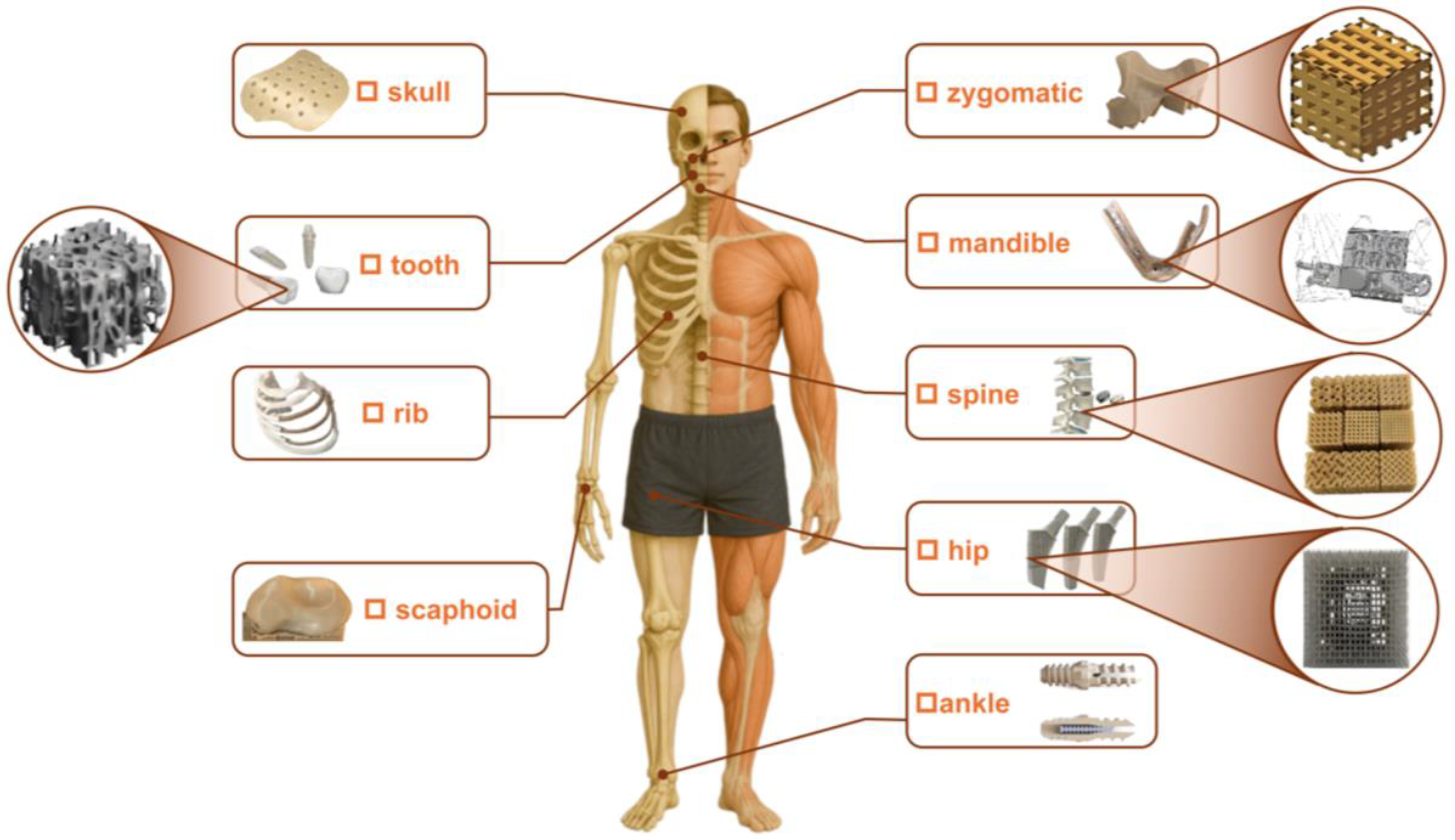 Polymers 17 02938 g001 Polymers 17 02938 g001