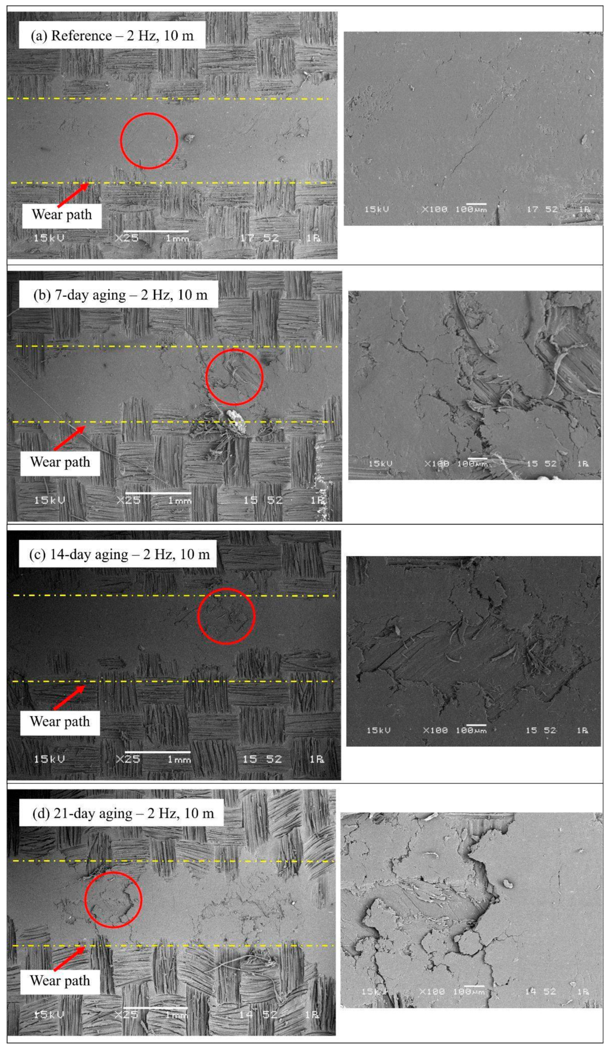 Polymers 17 02944 g012