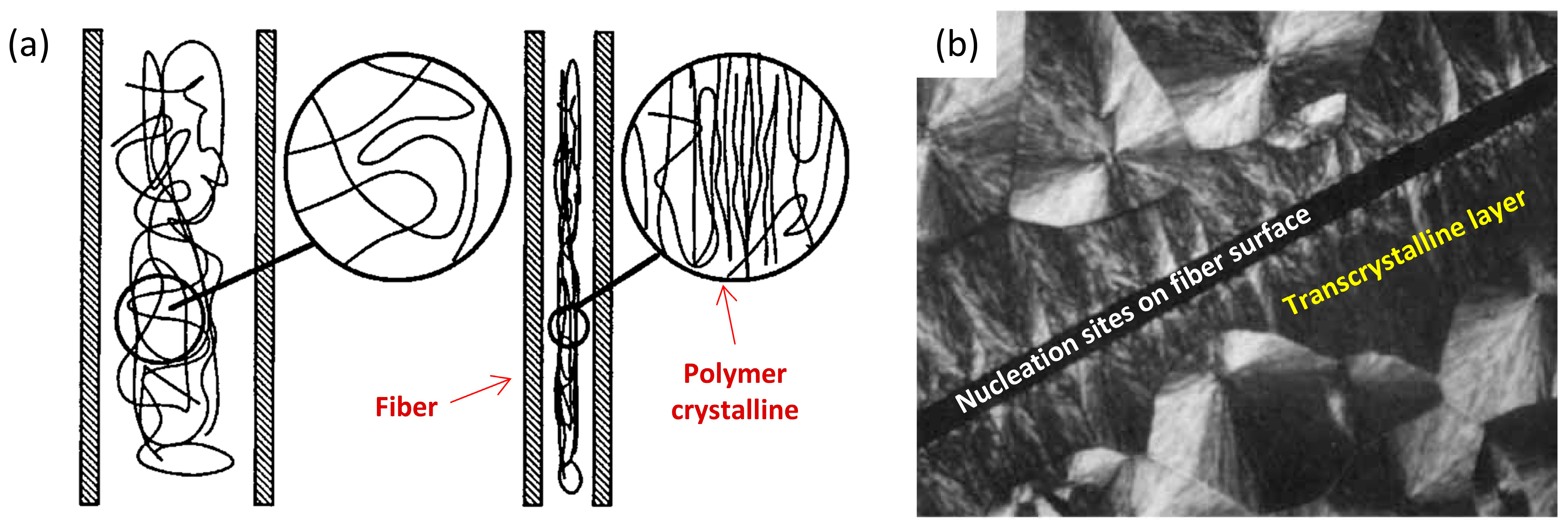 Polymers 17 02948 g003 Polymers 17 02948 g003