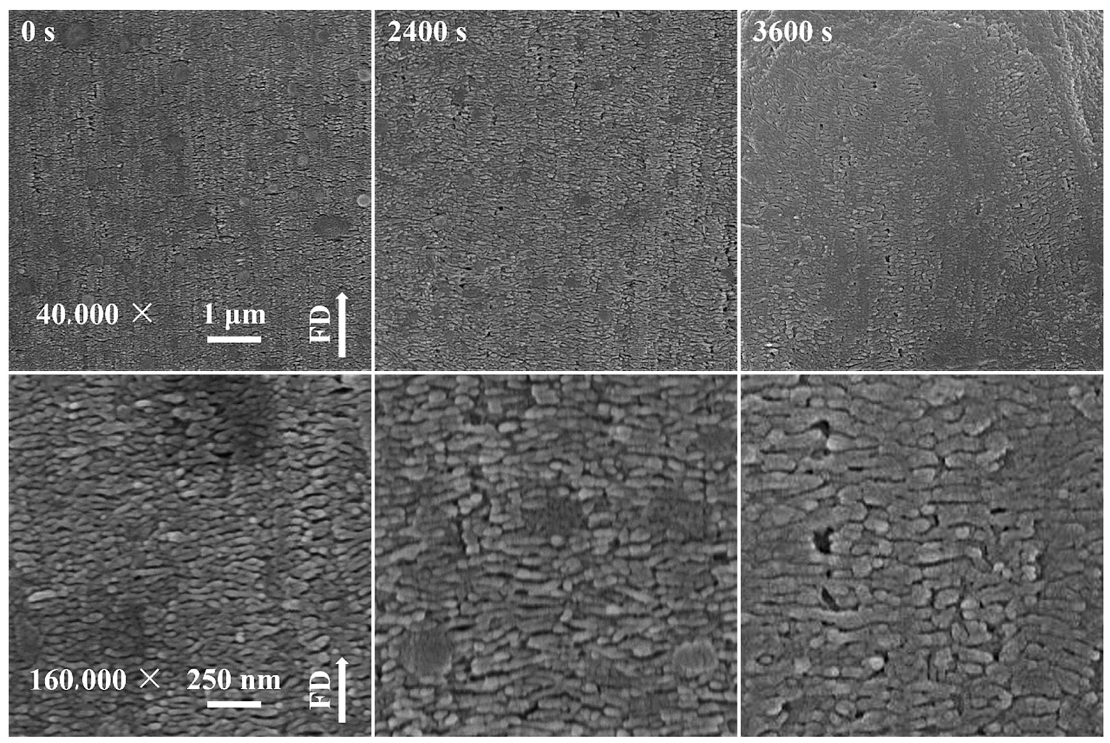 Polymers 17 02948 g004 Polymers 17 02948 g004