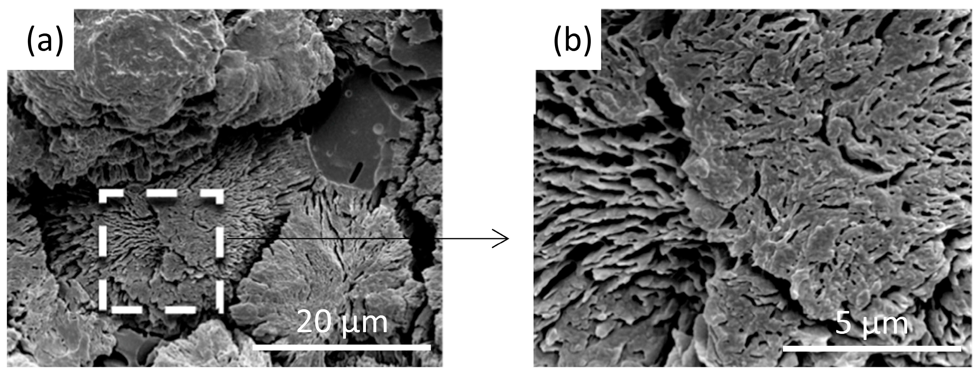 Polymers 17 02948 g005 Polymers 17 02948 g005