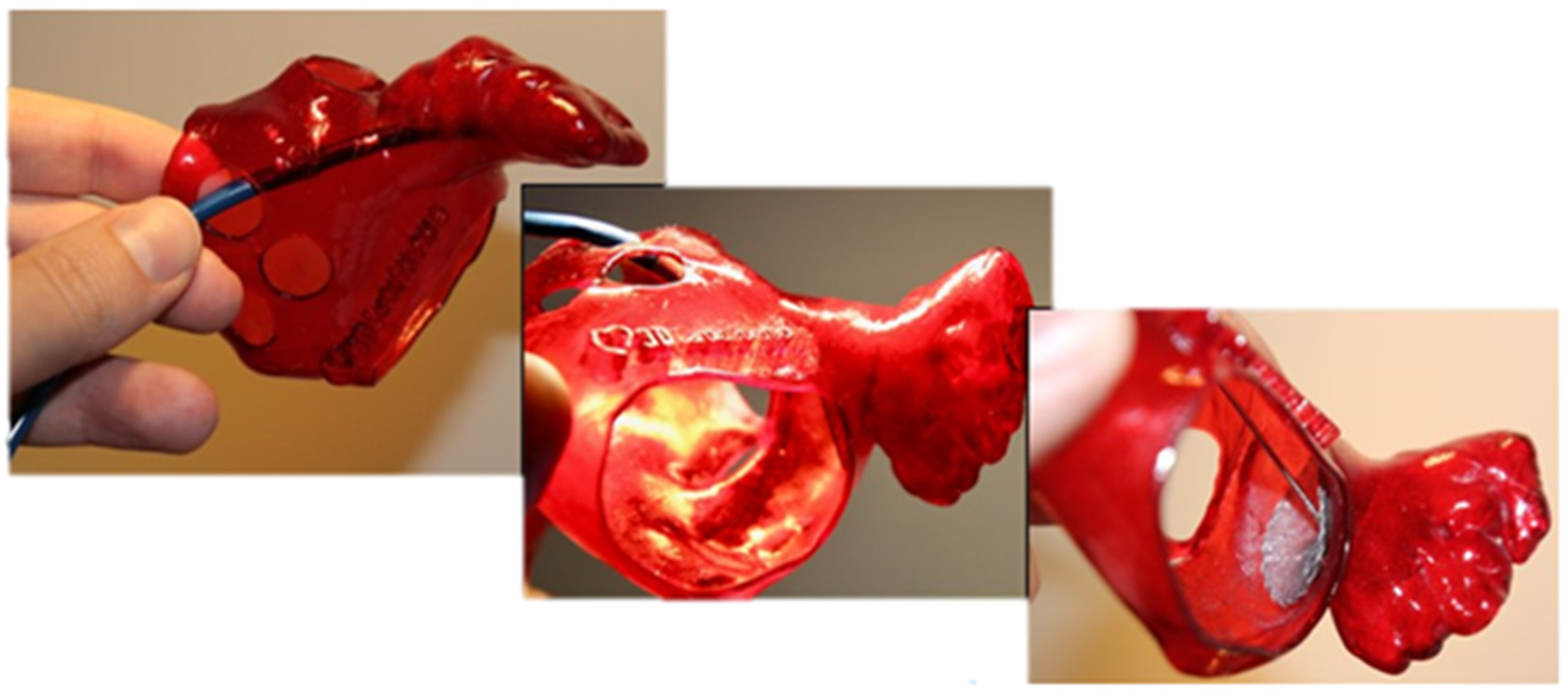 Polymers 17 02949 g001