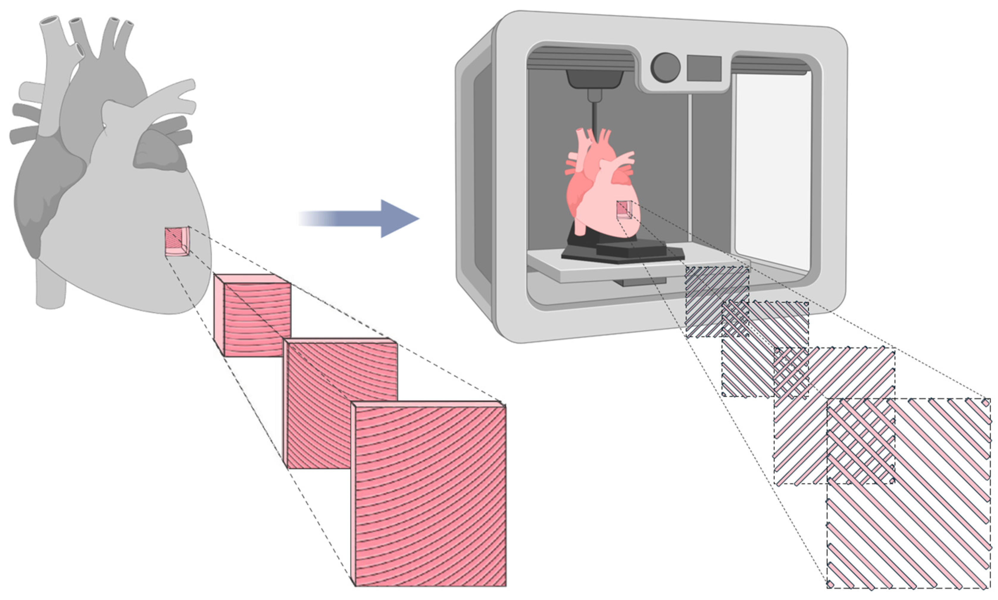 Polymers 17 02949 g003