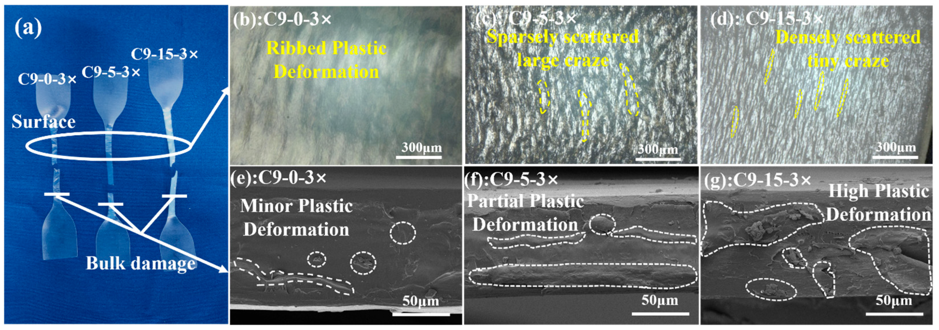 Polymers 17 02951 g009