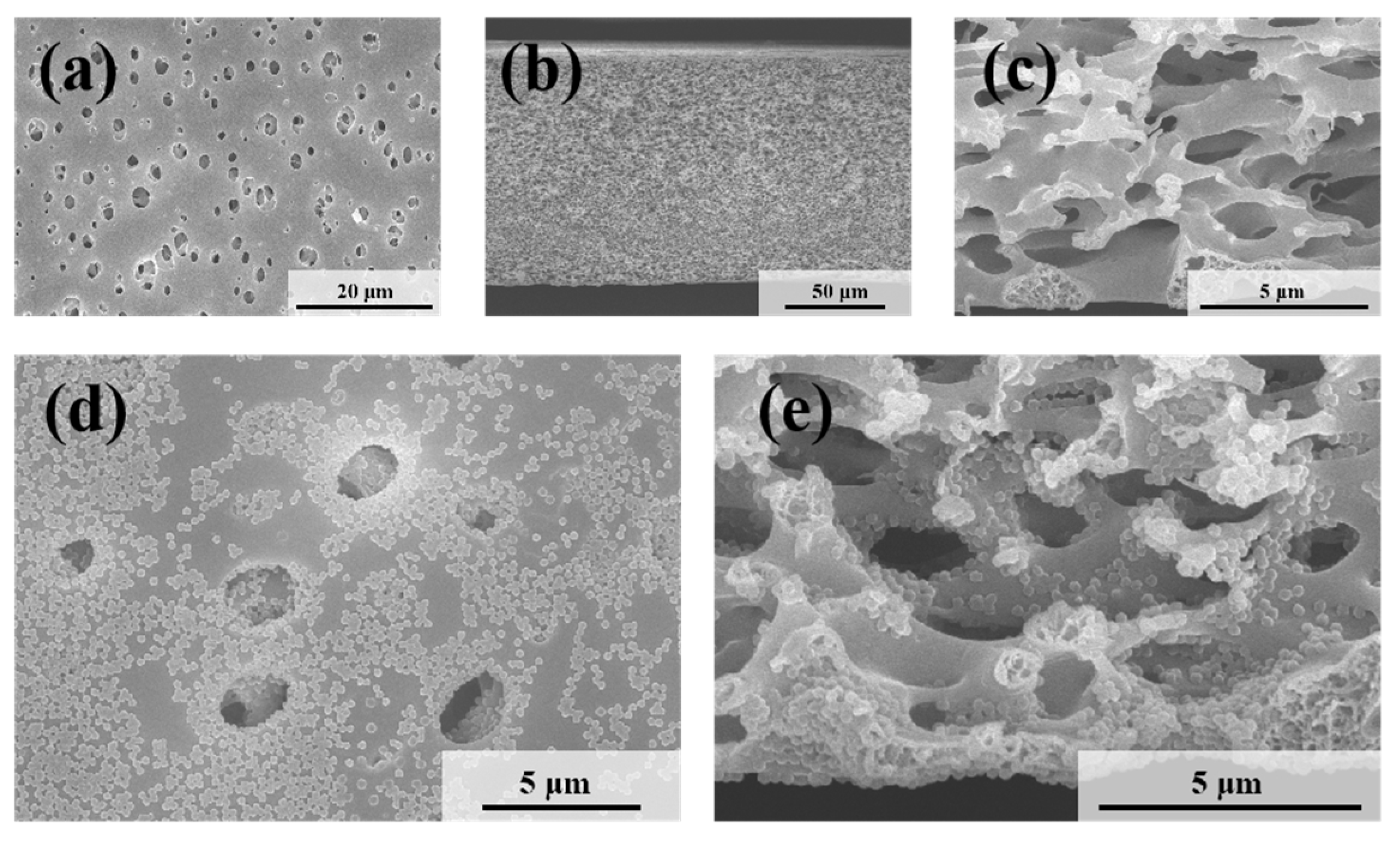 Polymers 17 02958 g004