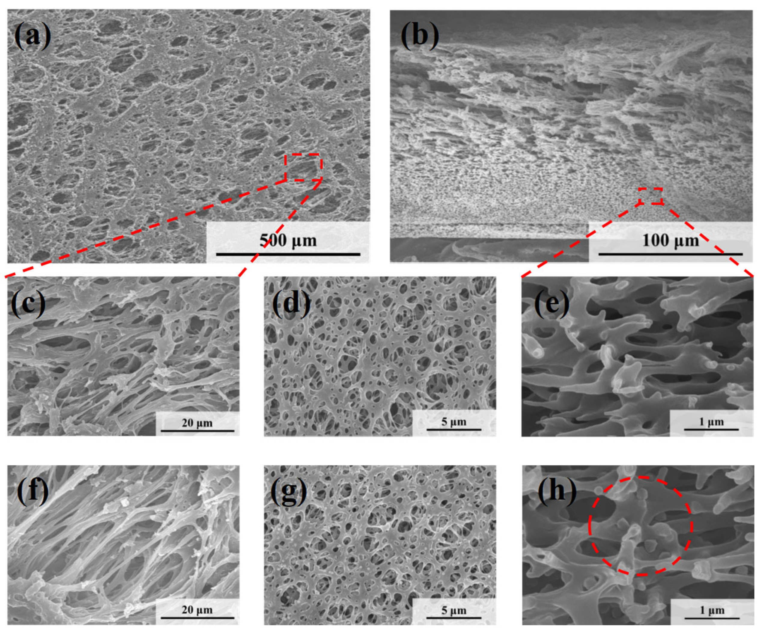 Polymers 17 02958 g005