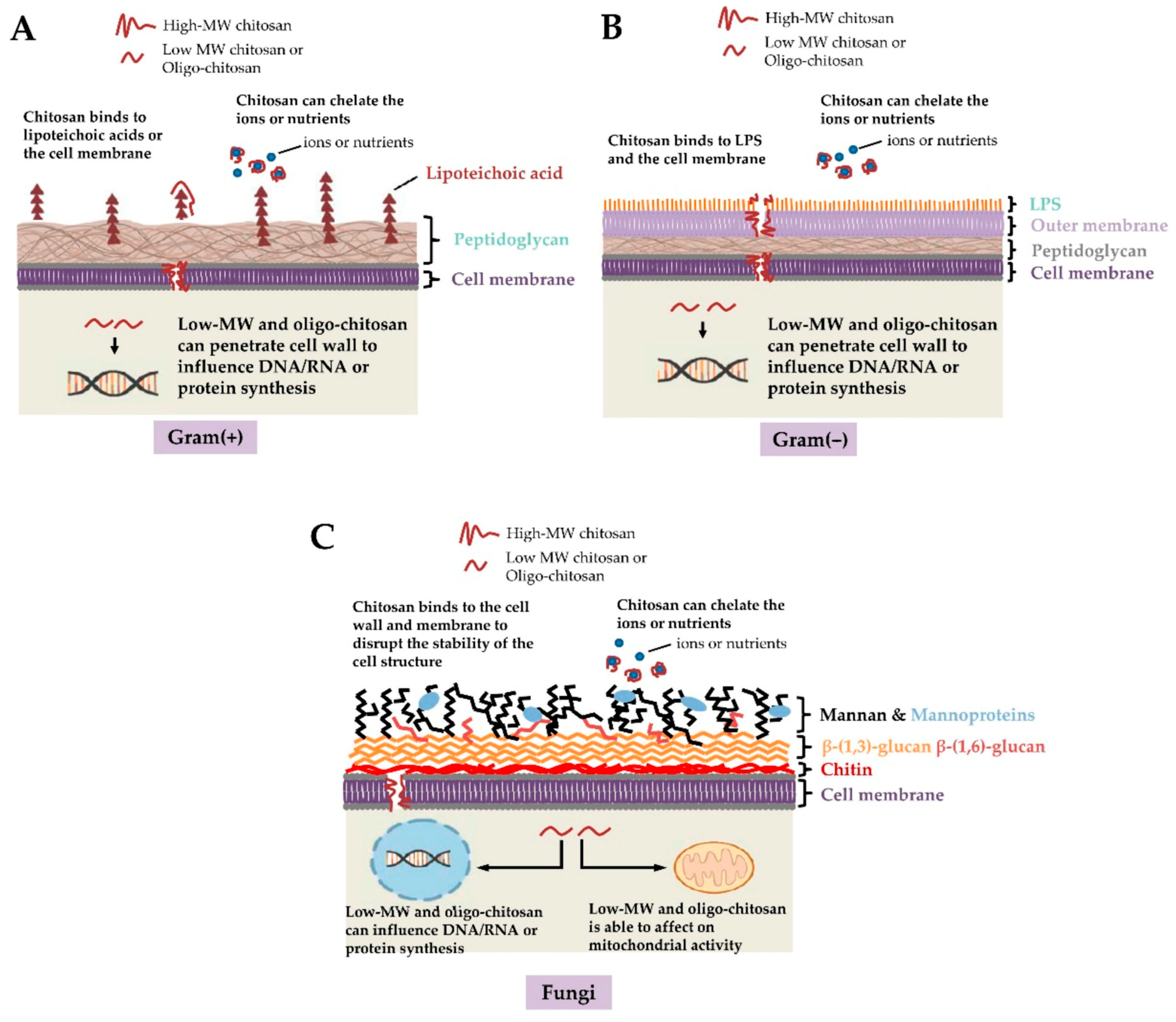Polymers 17 02964 g002