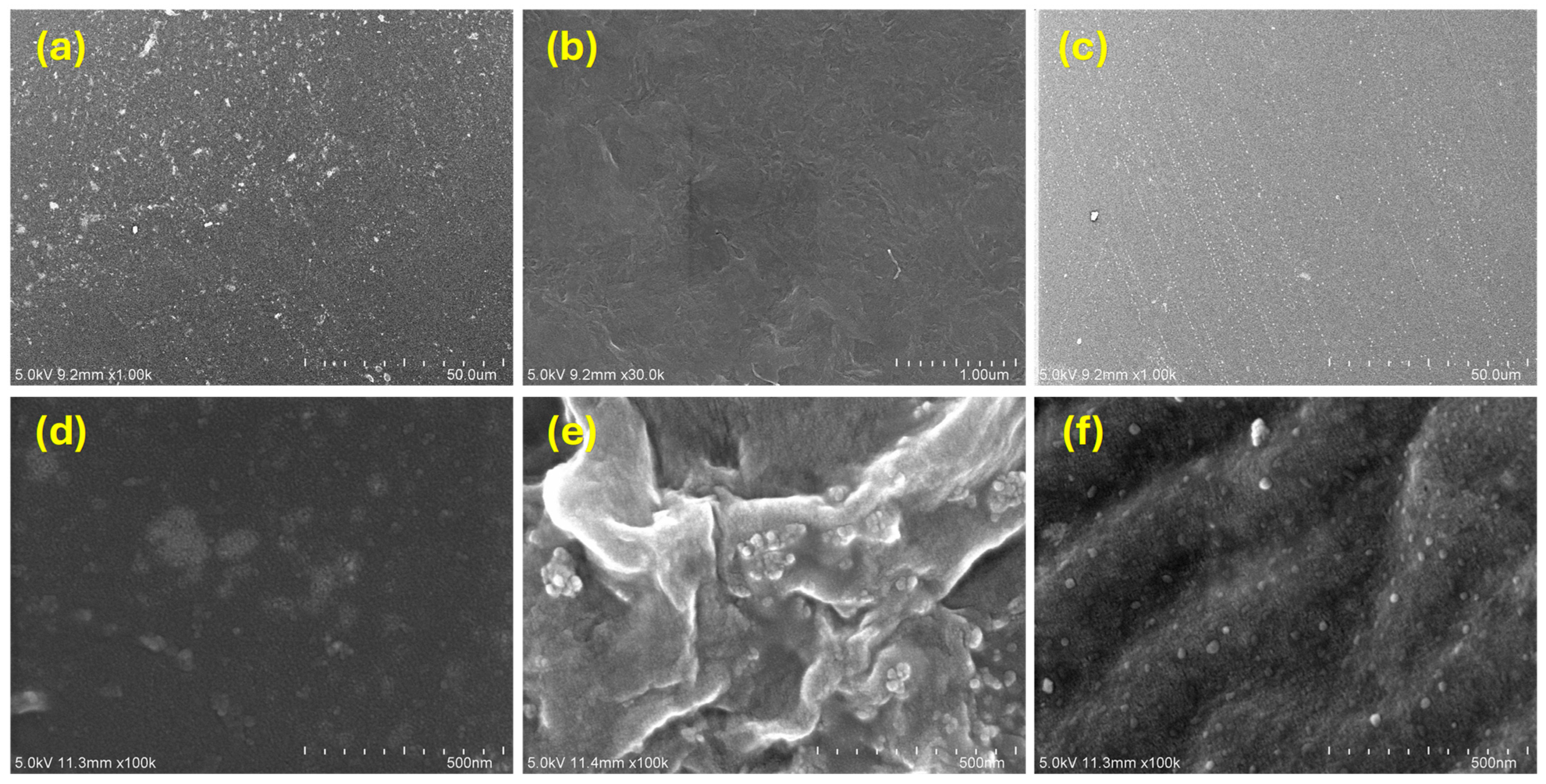 Polymers 17 02965 g007 Polymers 17 02965 g007