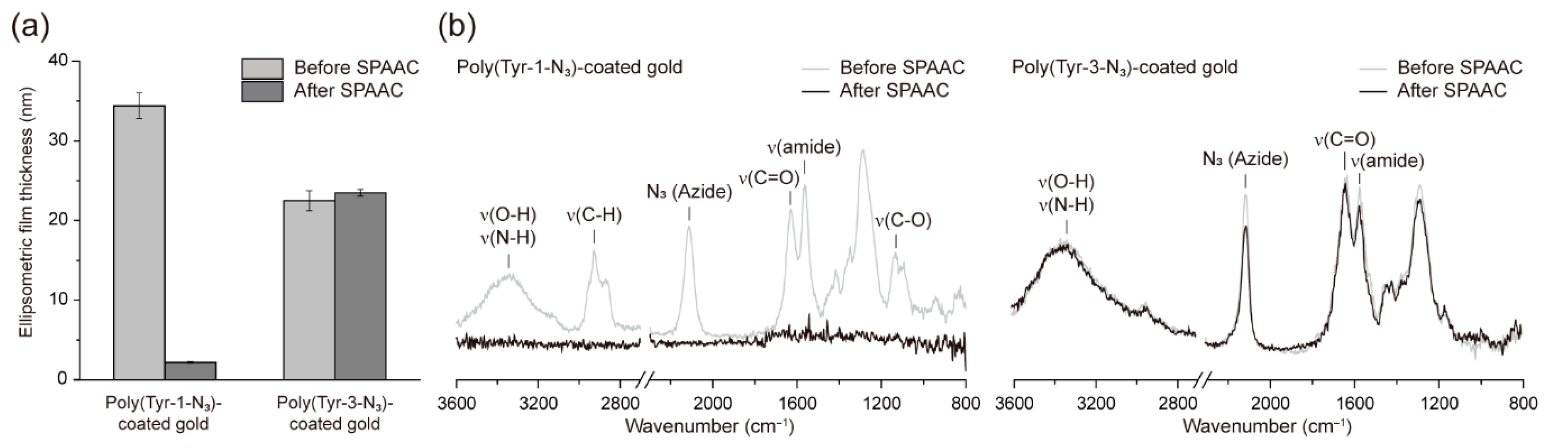 Polymers 17 02969 g002