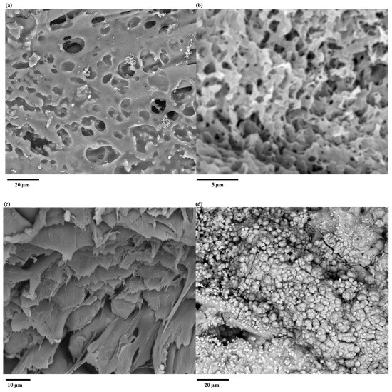 Polymers 17 02995 g002a Polymers 17 02995 g002a