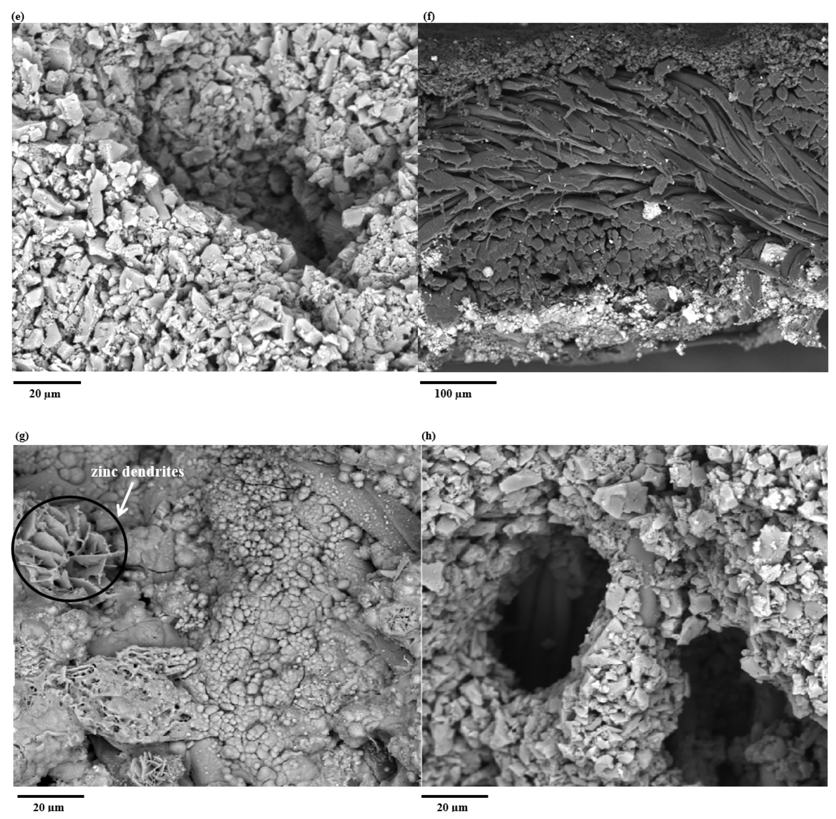 Polymers 17 02995 g002b Polymers 17 02995 g002b
