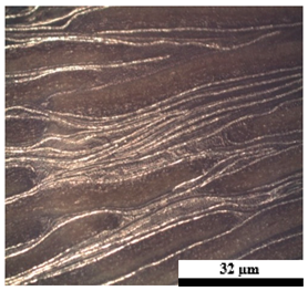Polymers 17 02998 i003