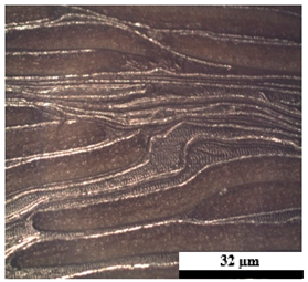Polymers 17 02998 i004
