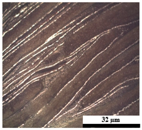 Polymers 17 02998 i005
