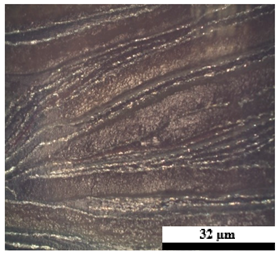 Polymers 17 02998 i006
