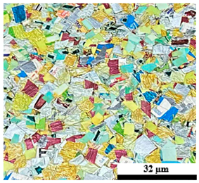 Polymers 17 02998 i008