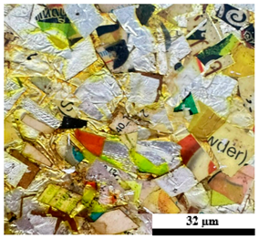 Polymers 17 02998 i014