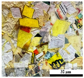 Polymers 17 02998 i016