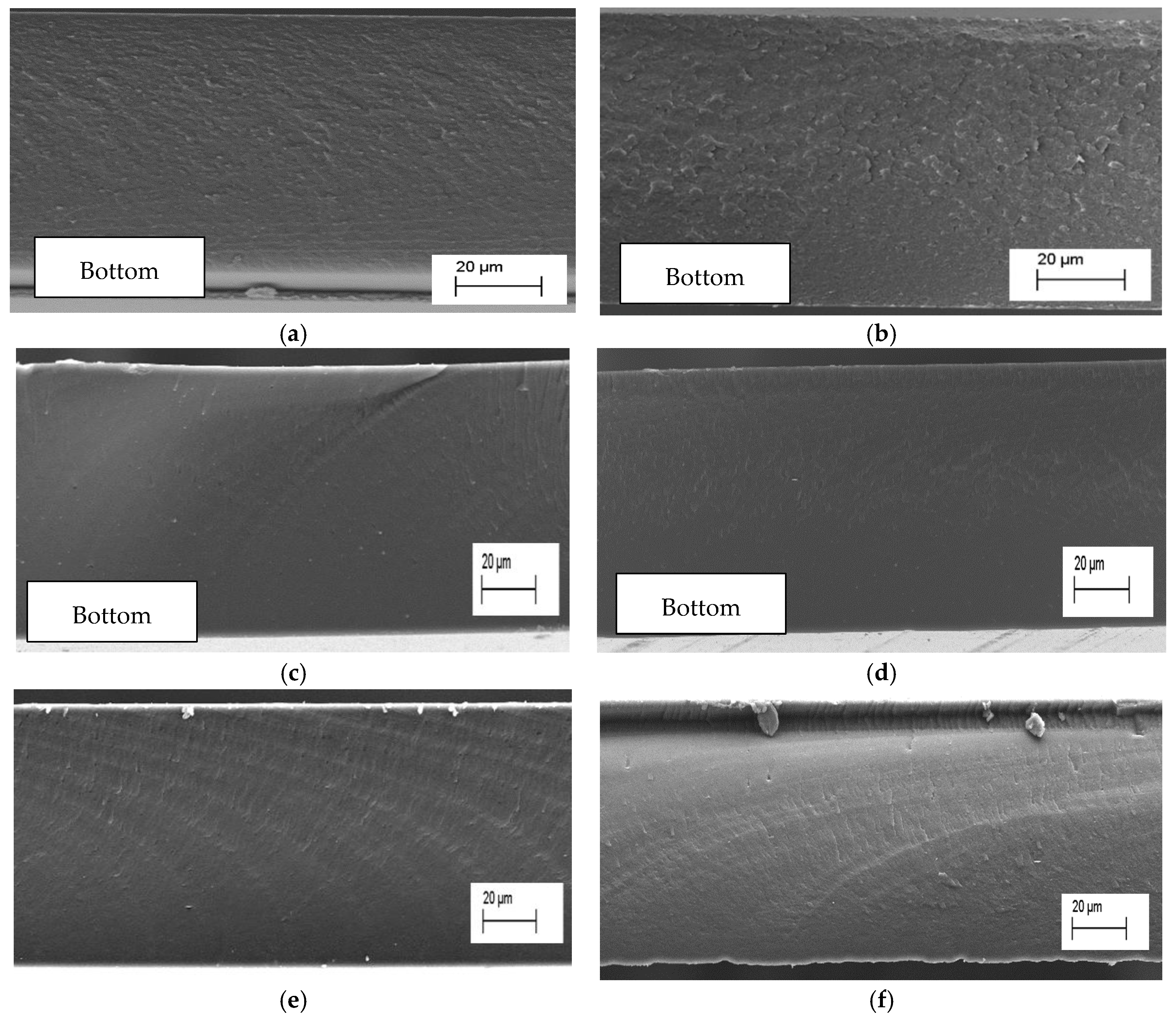 Polymers 17 03026 g004 Polymers 17 03026 g004