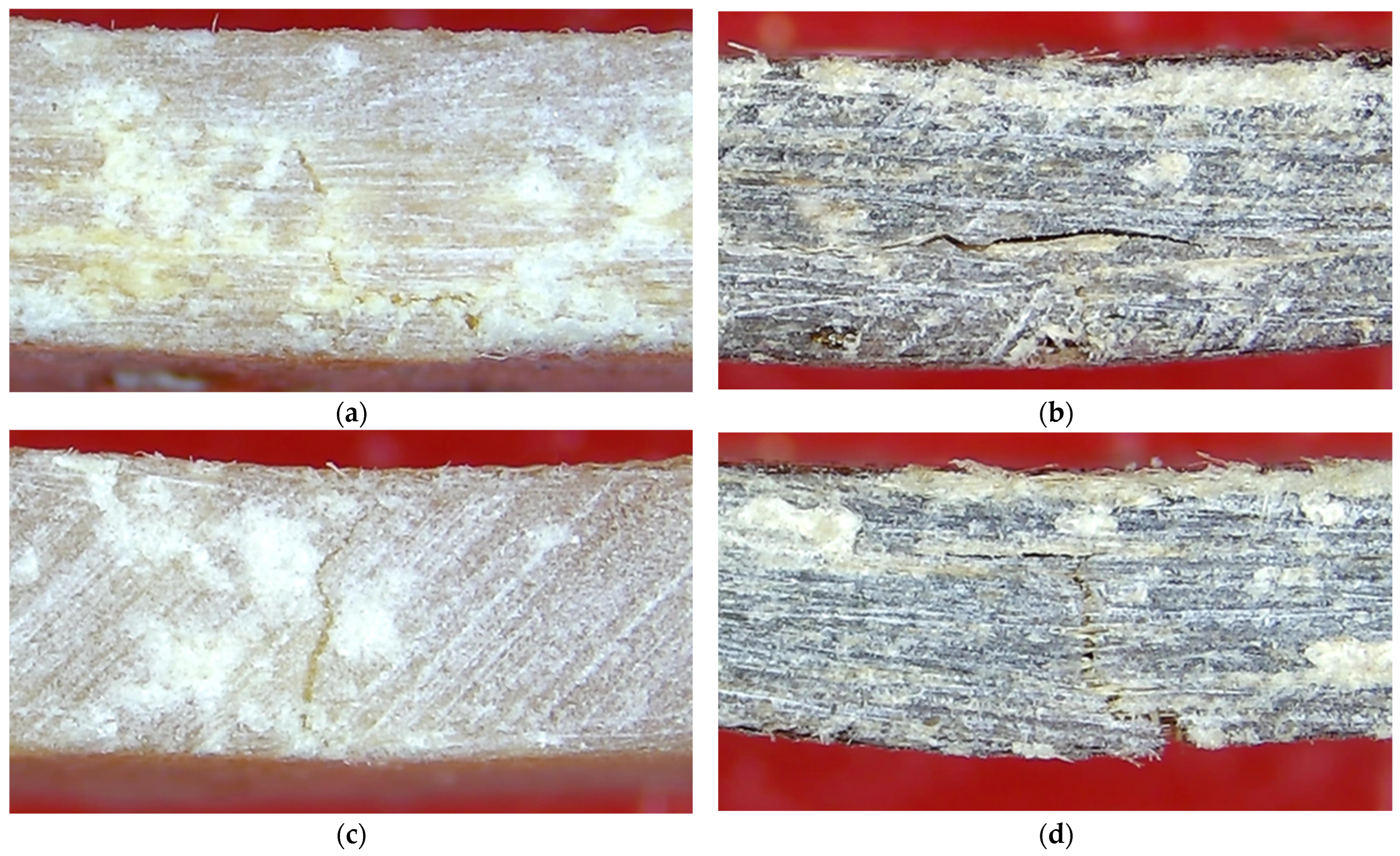 Polymers 17 03038 g007