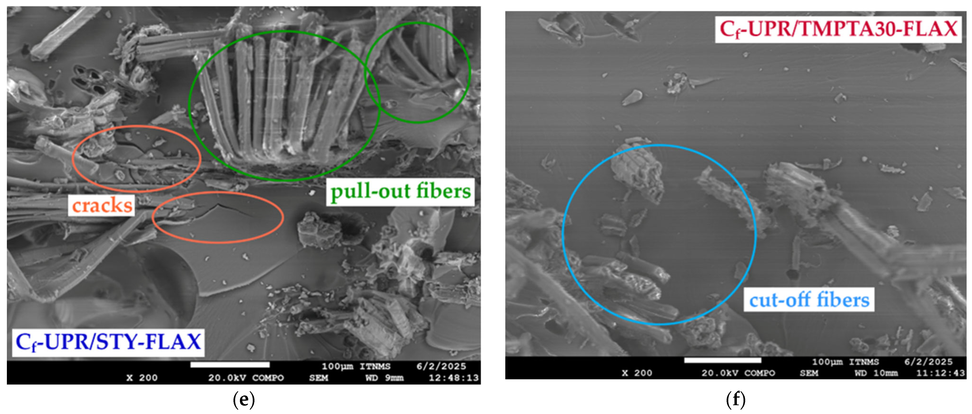 Polymers 17 03038 g009b
