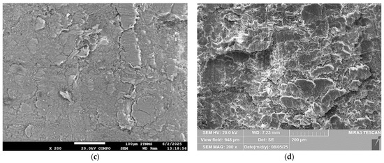 Polymers 17 03038 g010b