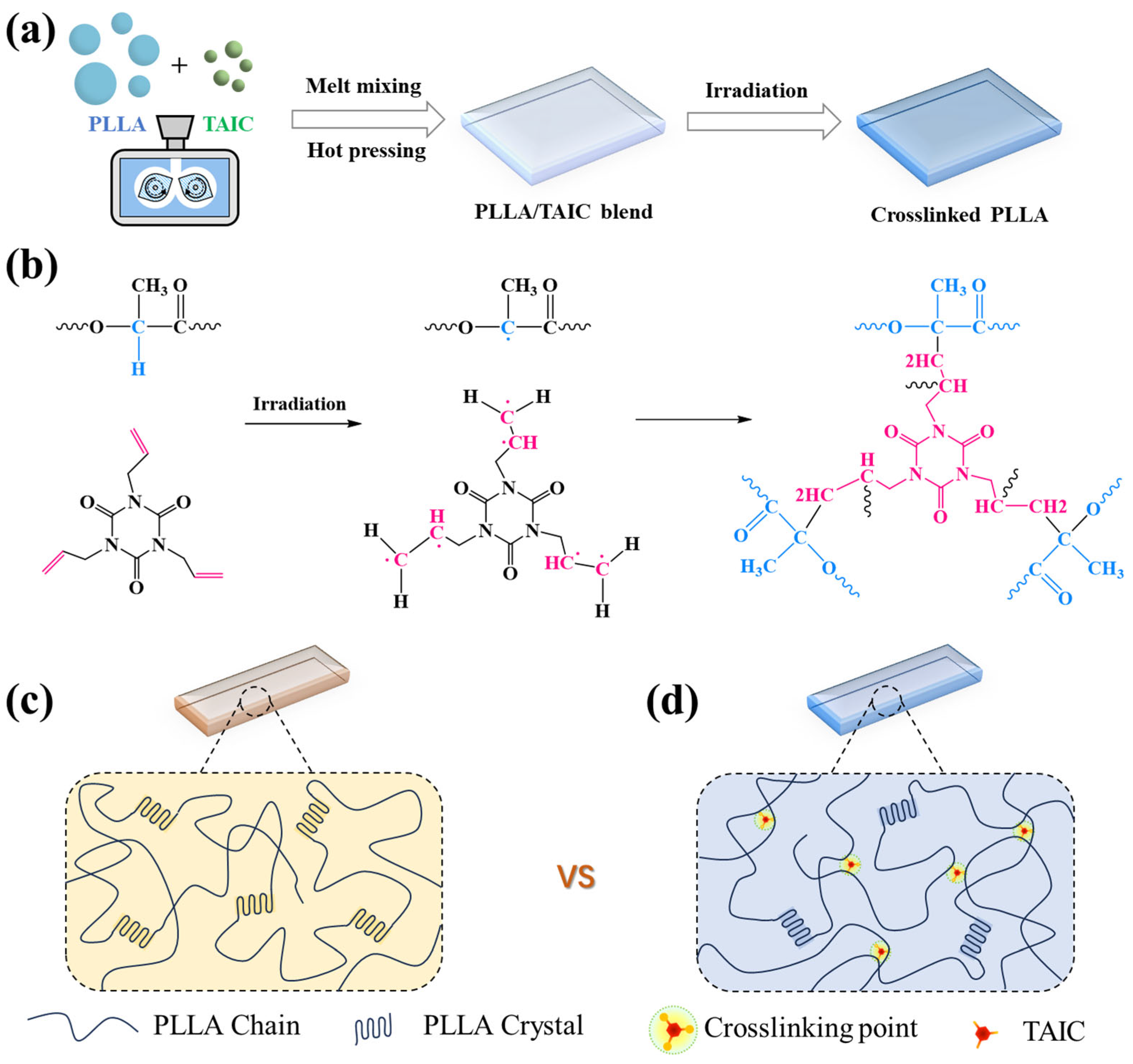 Polymers 17 03041 g001