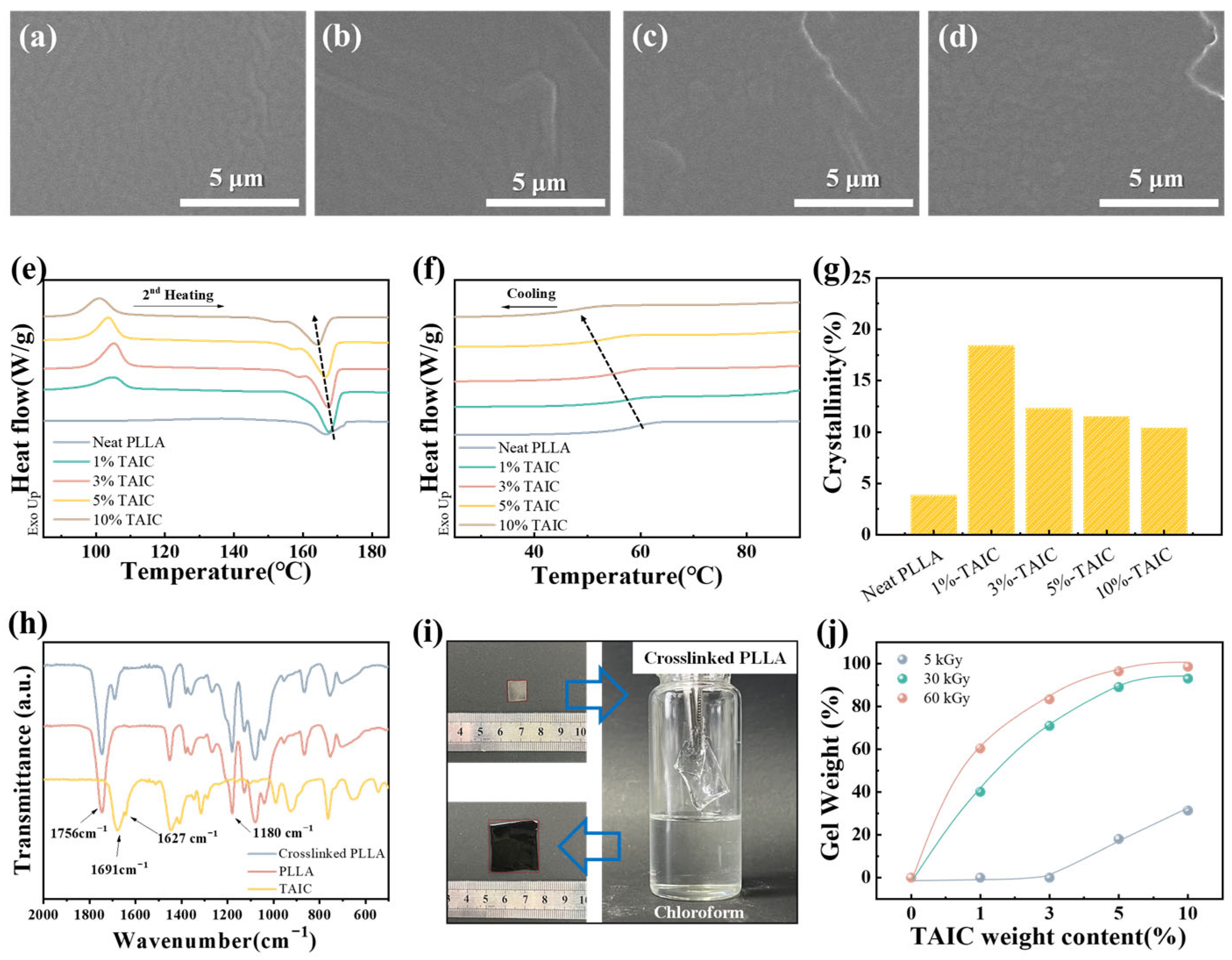 Polymers 17 03041 g002
