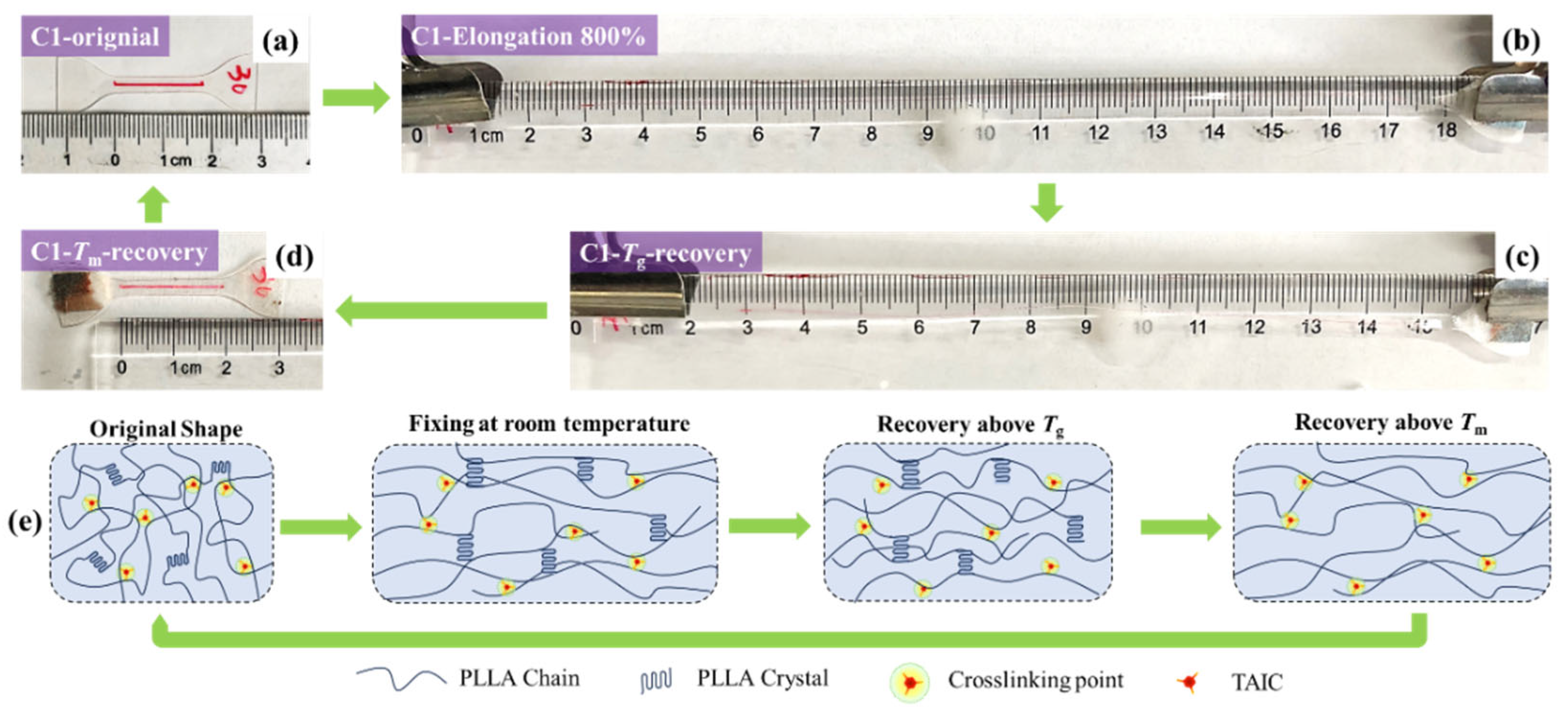 Polymers 17 03041 g007