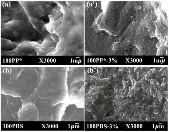 Polymers 17 03063 g001a Polymers 17 03063 g001a