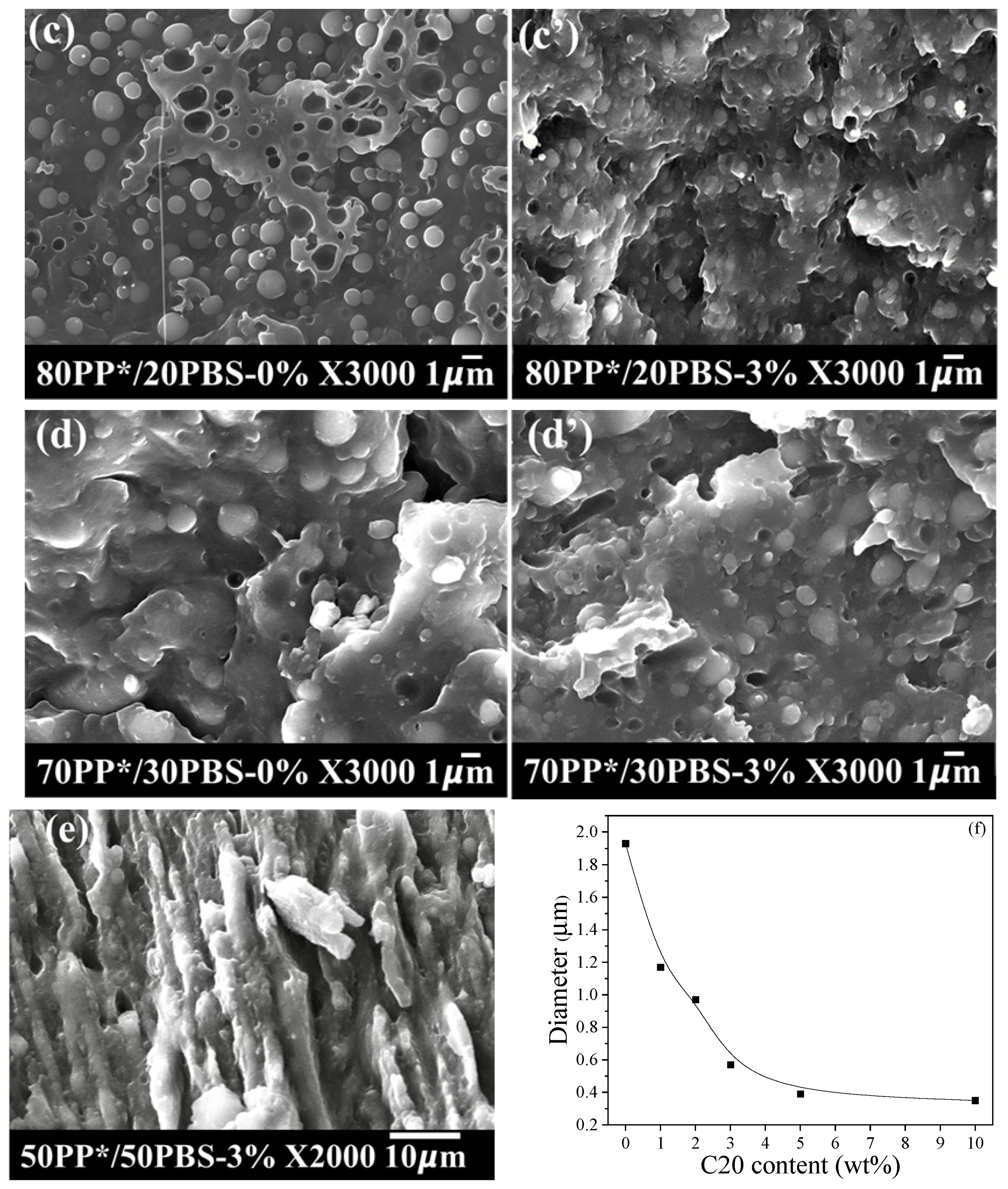 Polymers 17 03063 g001b Polymers 17 03063 g001b