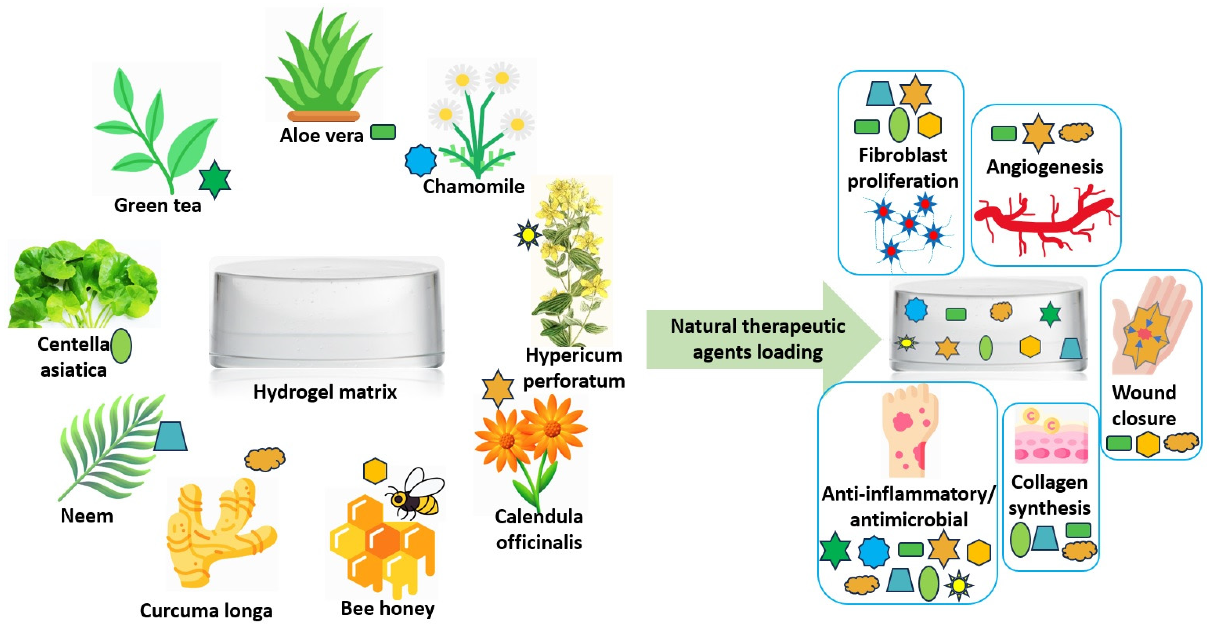Polymers 17 03105 g001