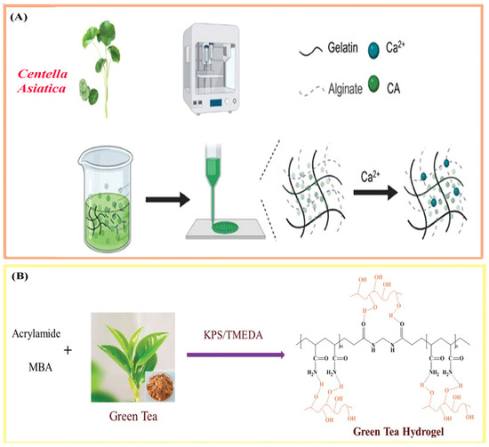 Polymers 17 03105 g003