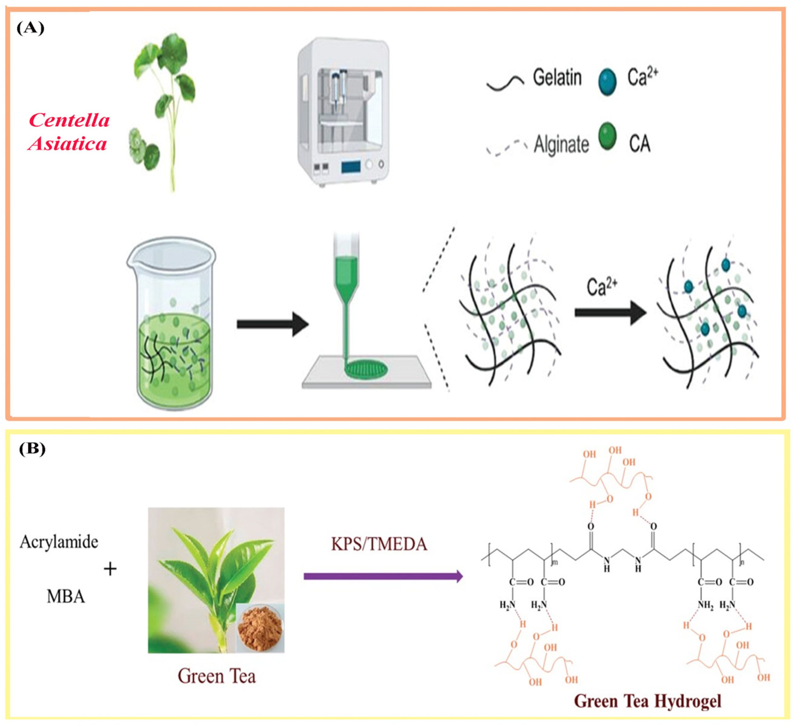 Polymers 17 03105 g003