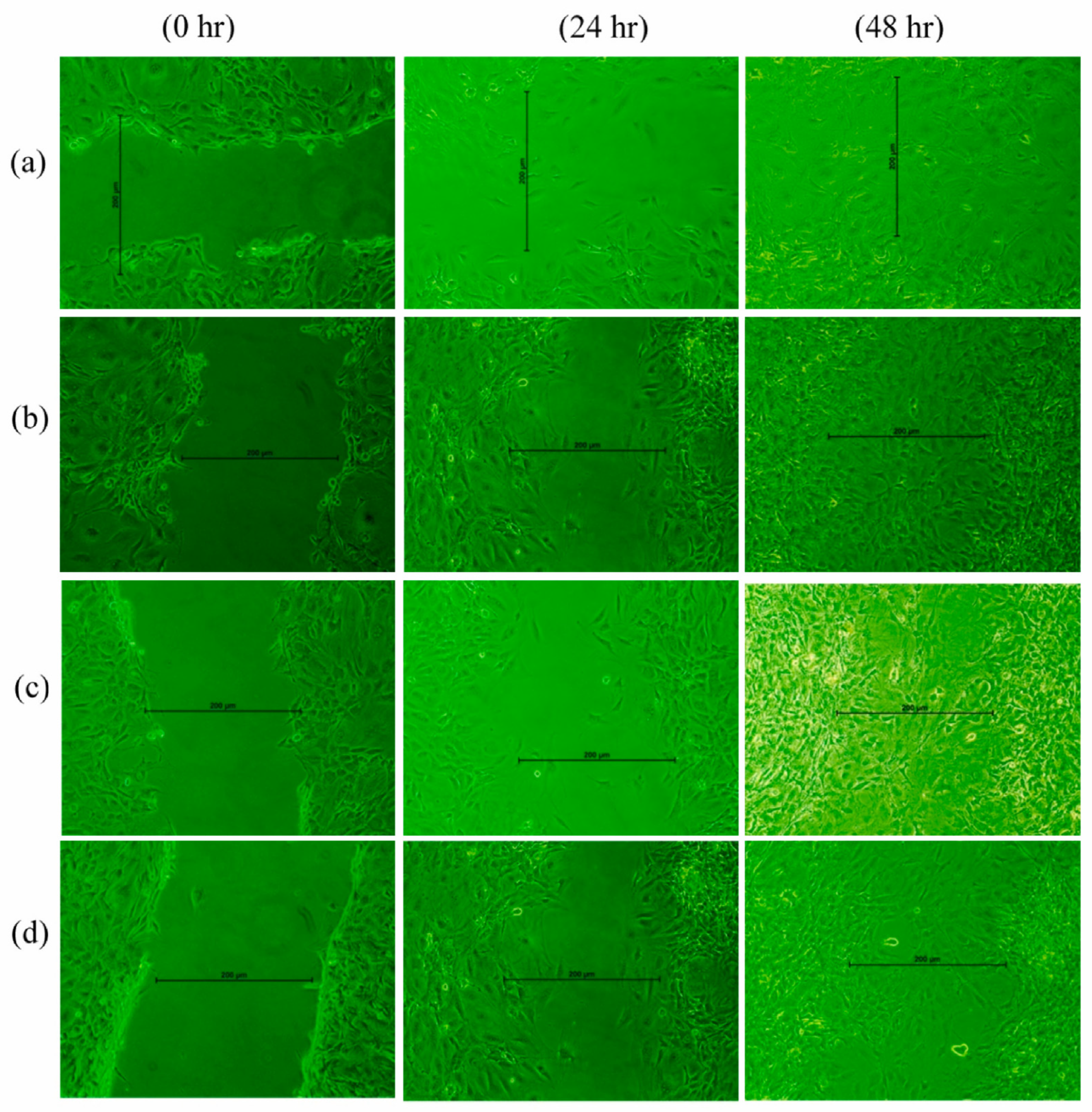 Polymers 17 03105 g004
